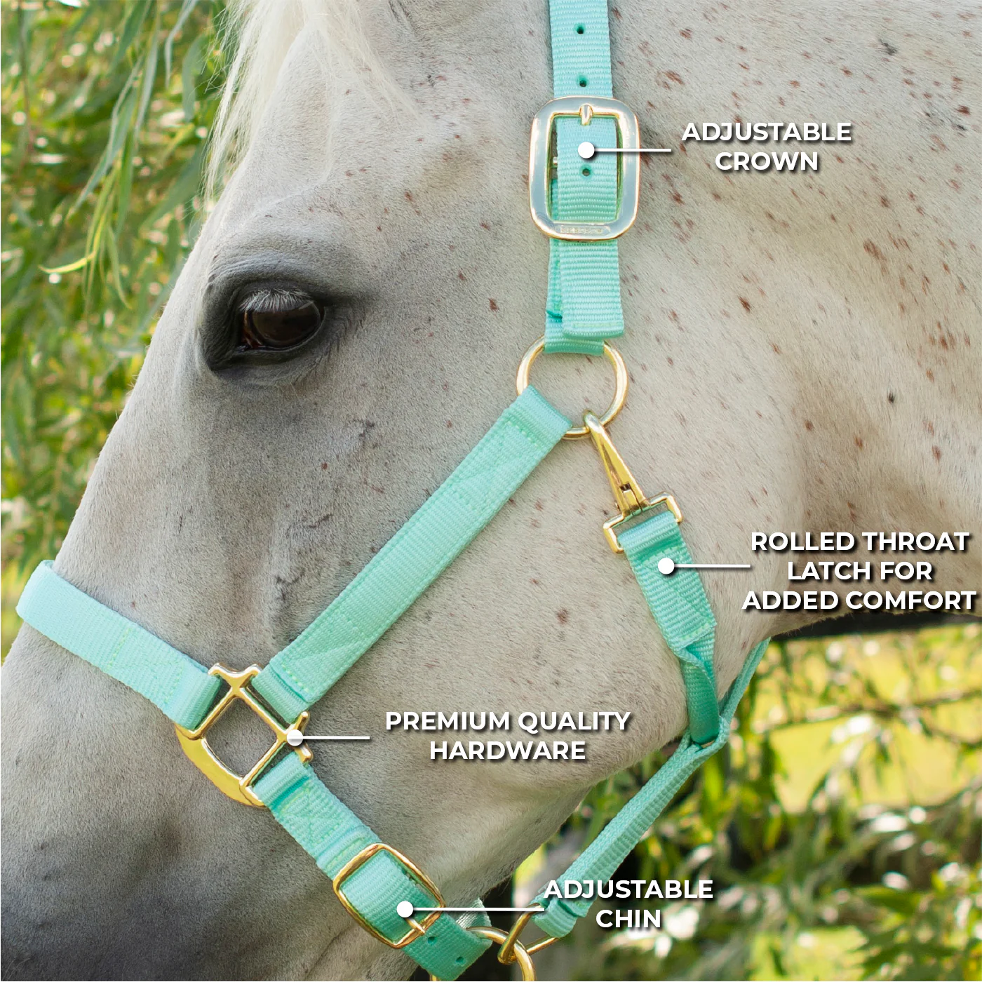 Shedrow Deluxe Halter - Image 53