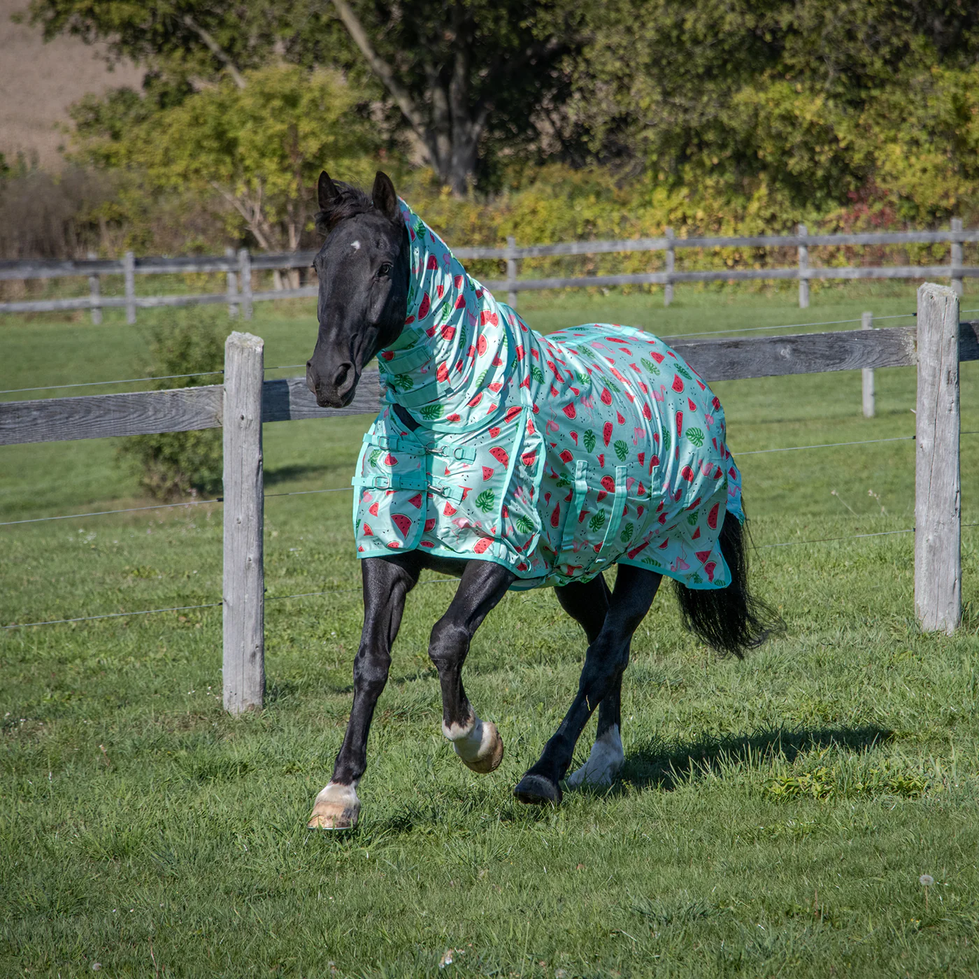 Shedrow Flamingo Breeze Extend-A-Neck Fly Sheet