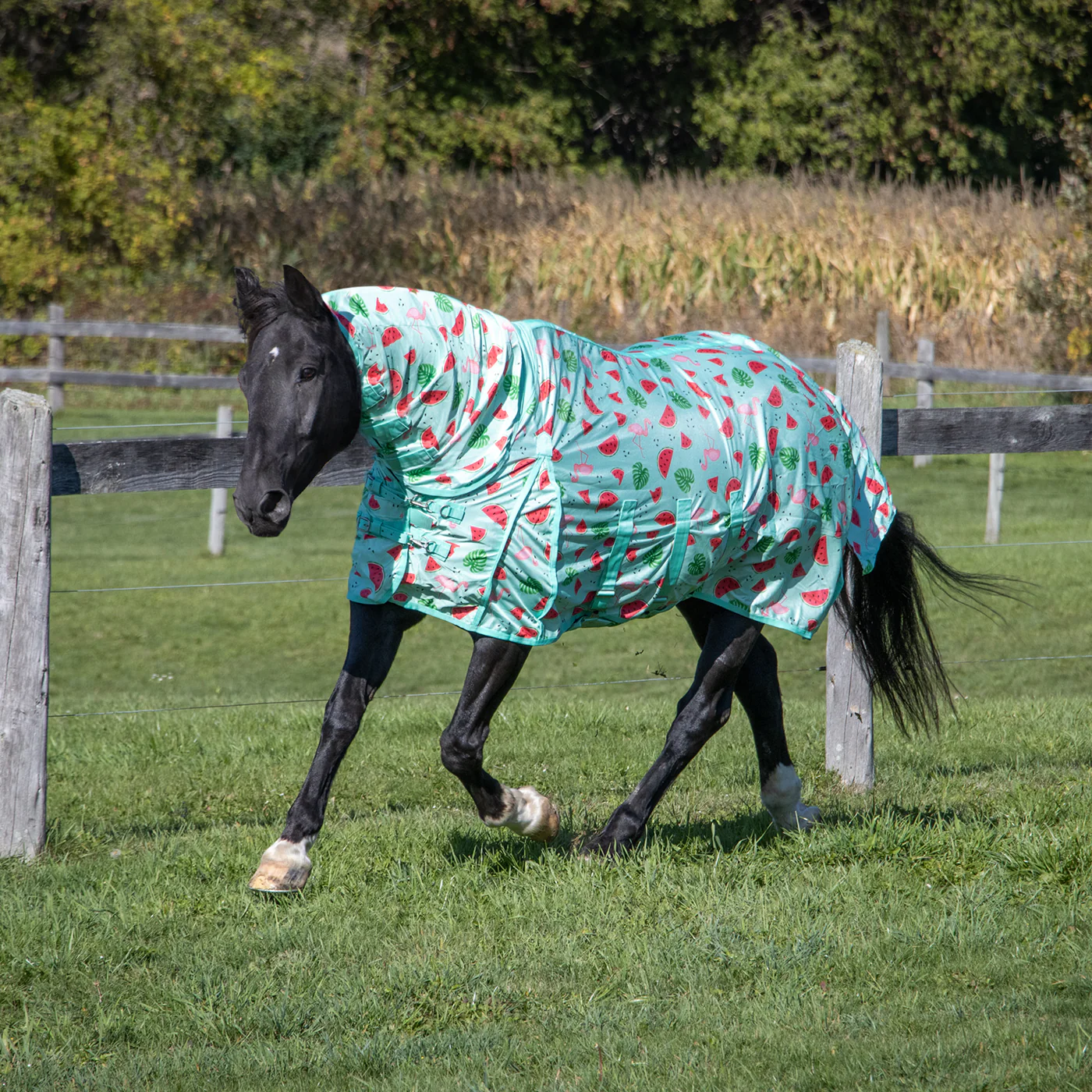 Shedrow Flamingo Breeze Extend-A-Neck Fly Sheet - Image 2