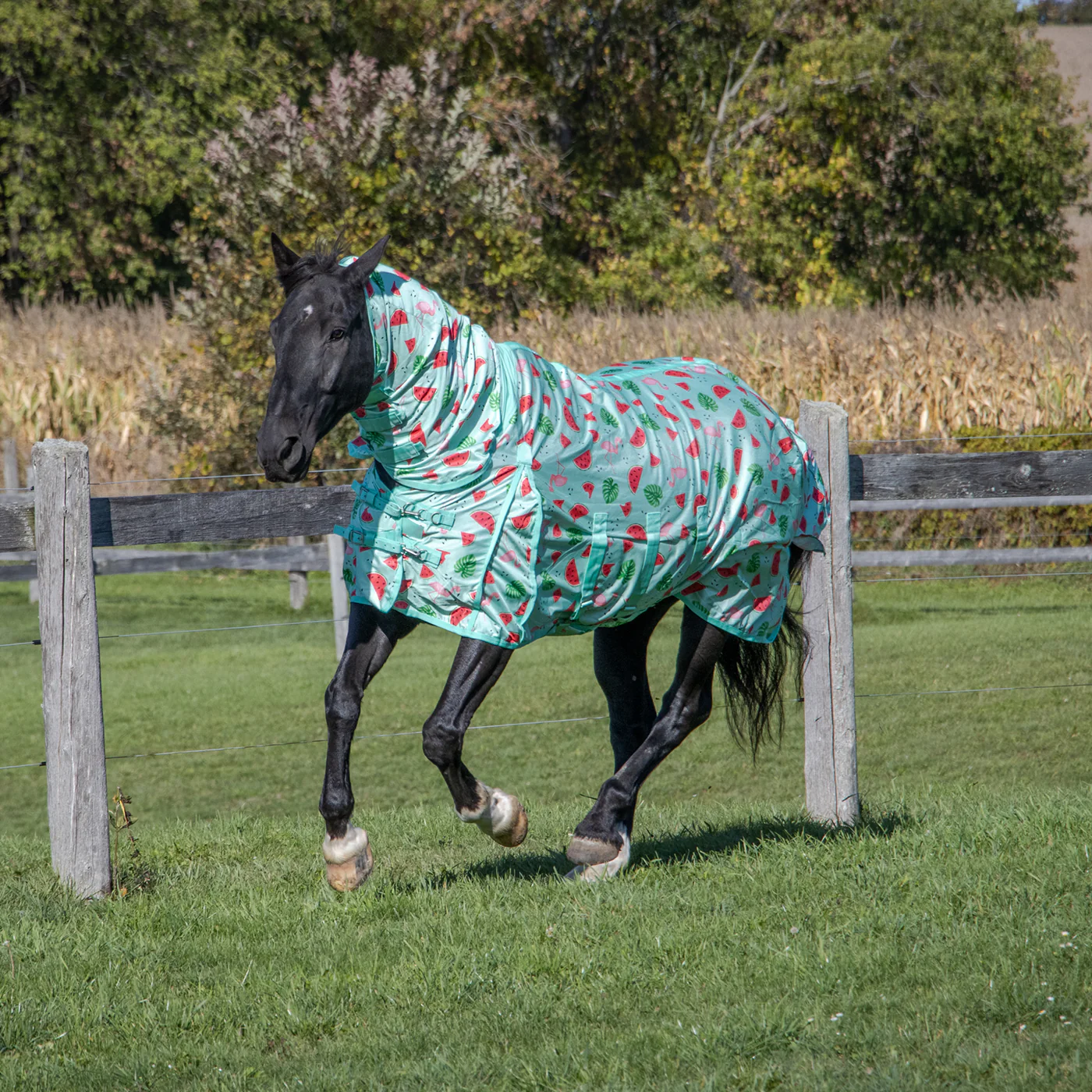 Shedrow Flamingo Breeze Extend-A-Neck Fly Sheet - Image 3