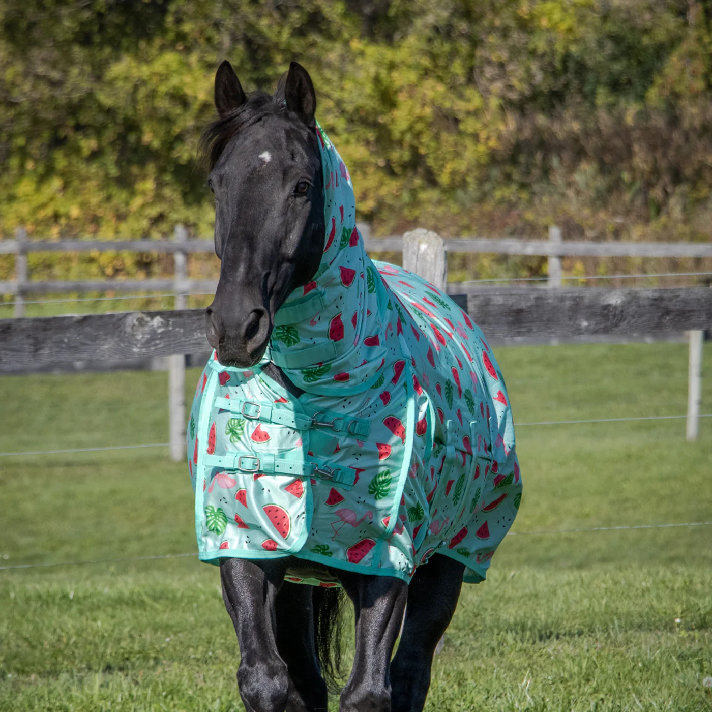 Shedrow Flamingo Breeze Extend-A-Neck Fly Sheet - Image 4