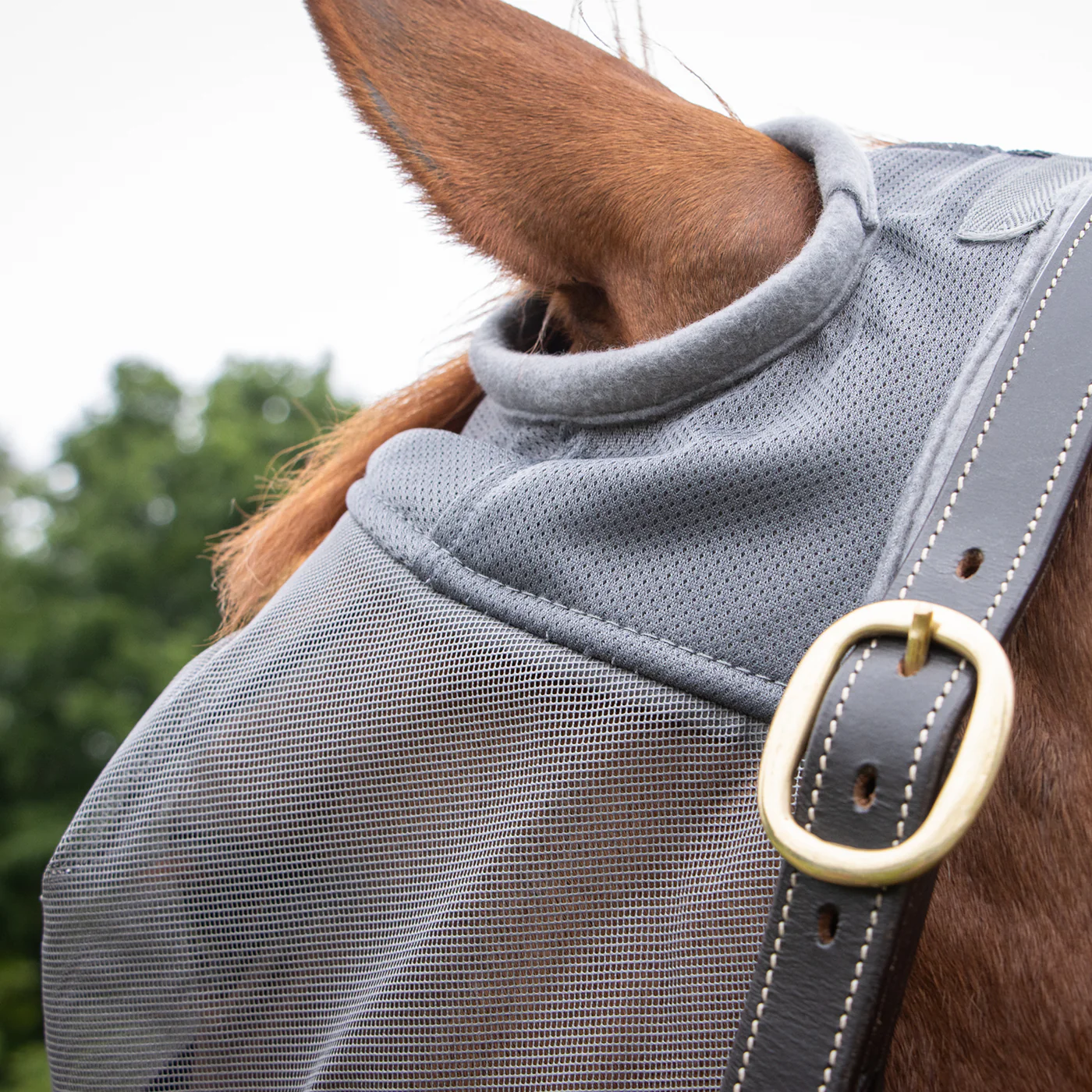 Shedrow Fly Mask - Image 3