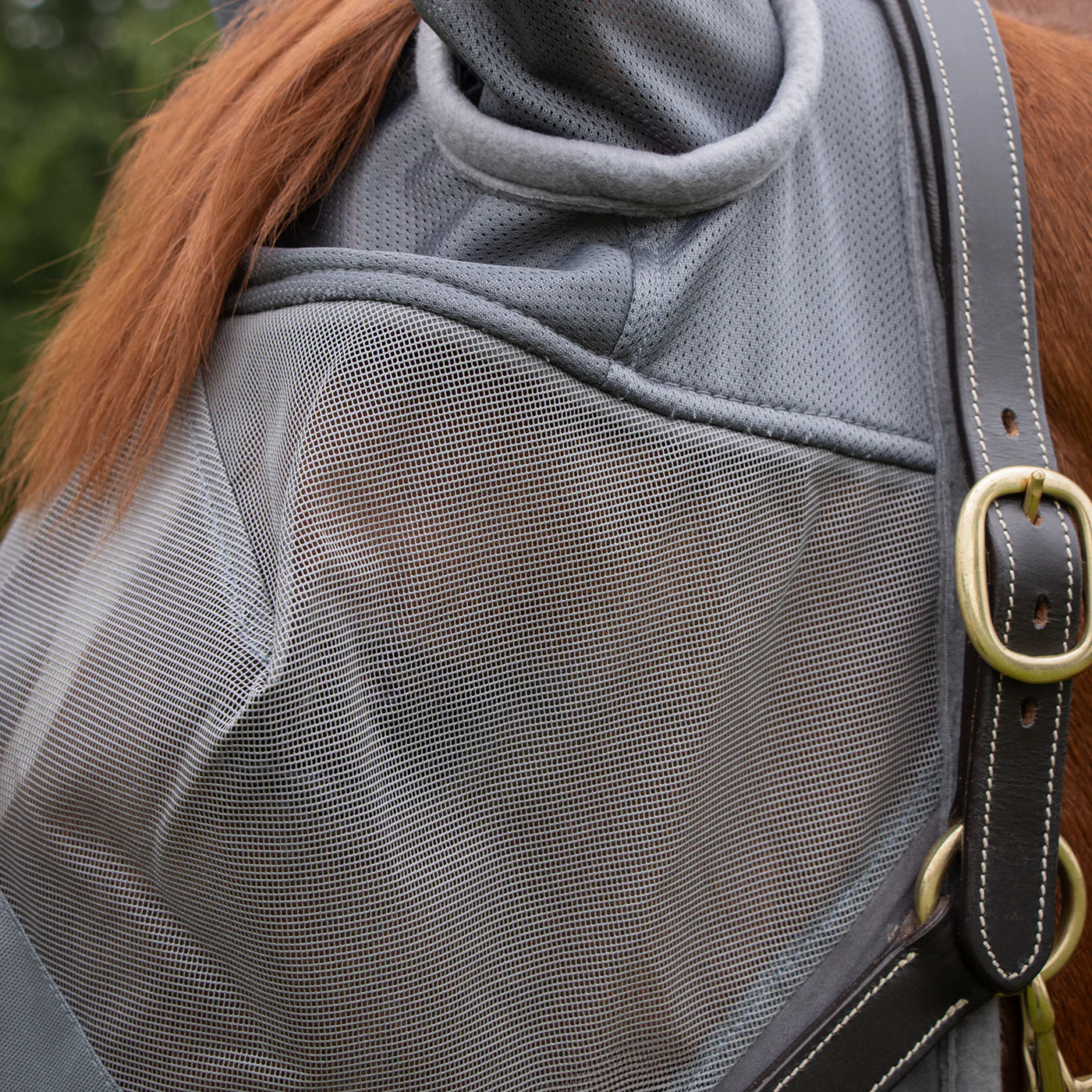Shedrow Fly Mask W/ Ears & Nose Cover - Image 3