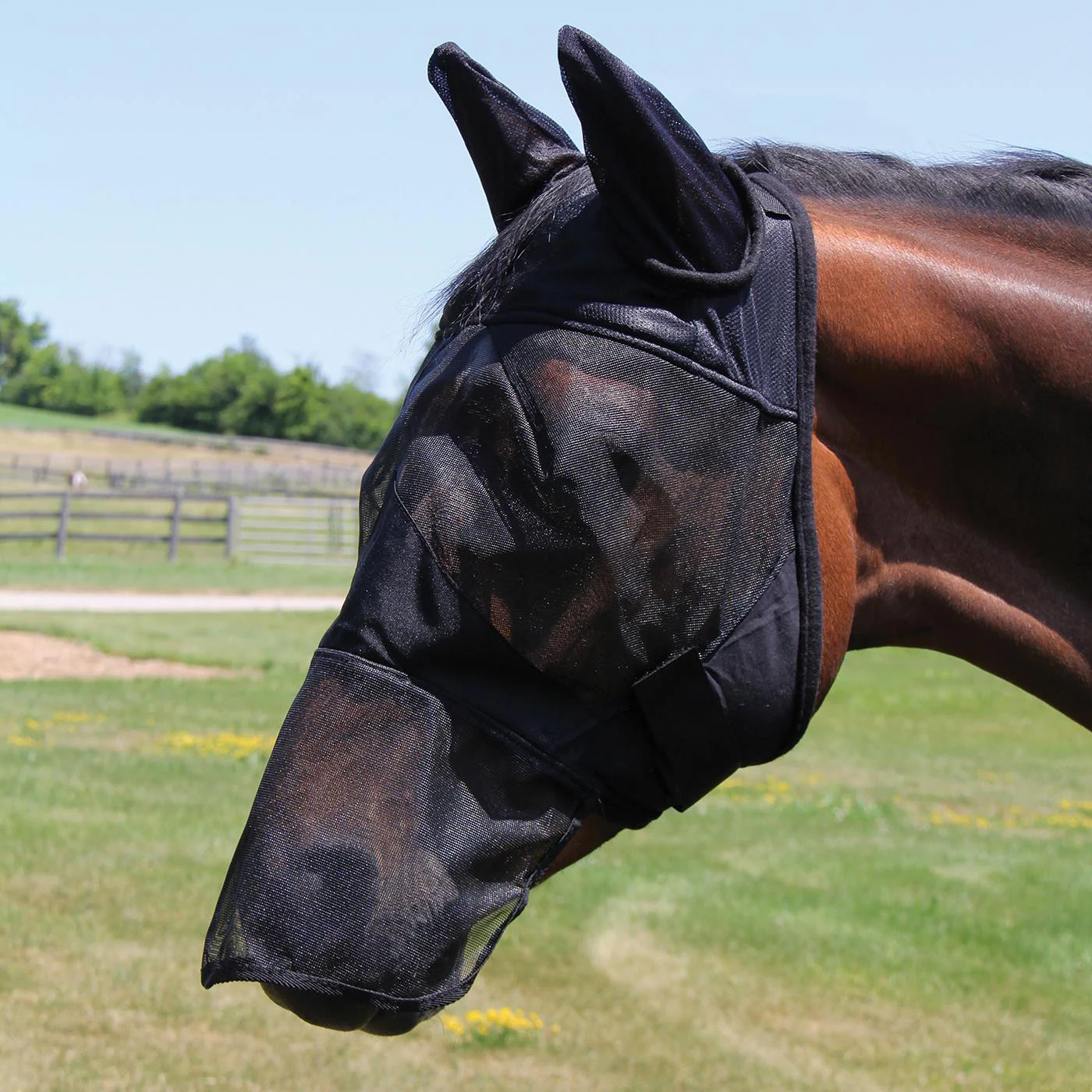 Shedrow Fly Mask W/ Ears & Nose Cover - Image 5