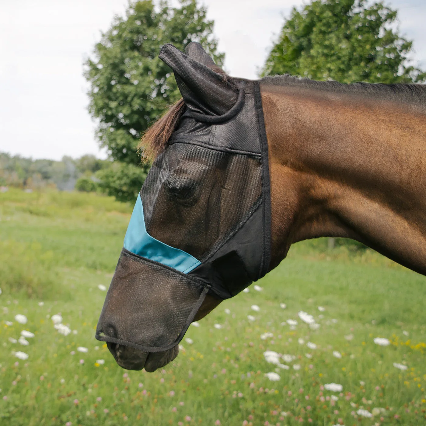 Shedrow Fly Mask W/ Ears & Nose Cover - Image 7