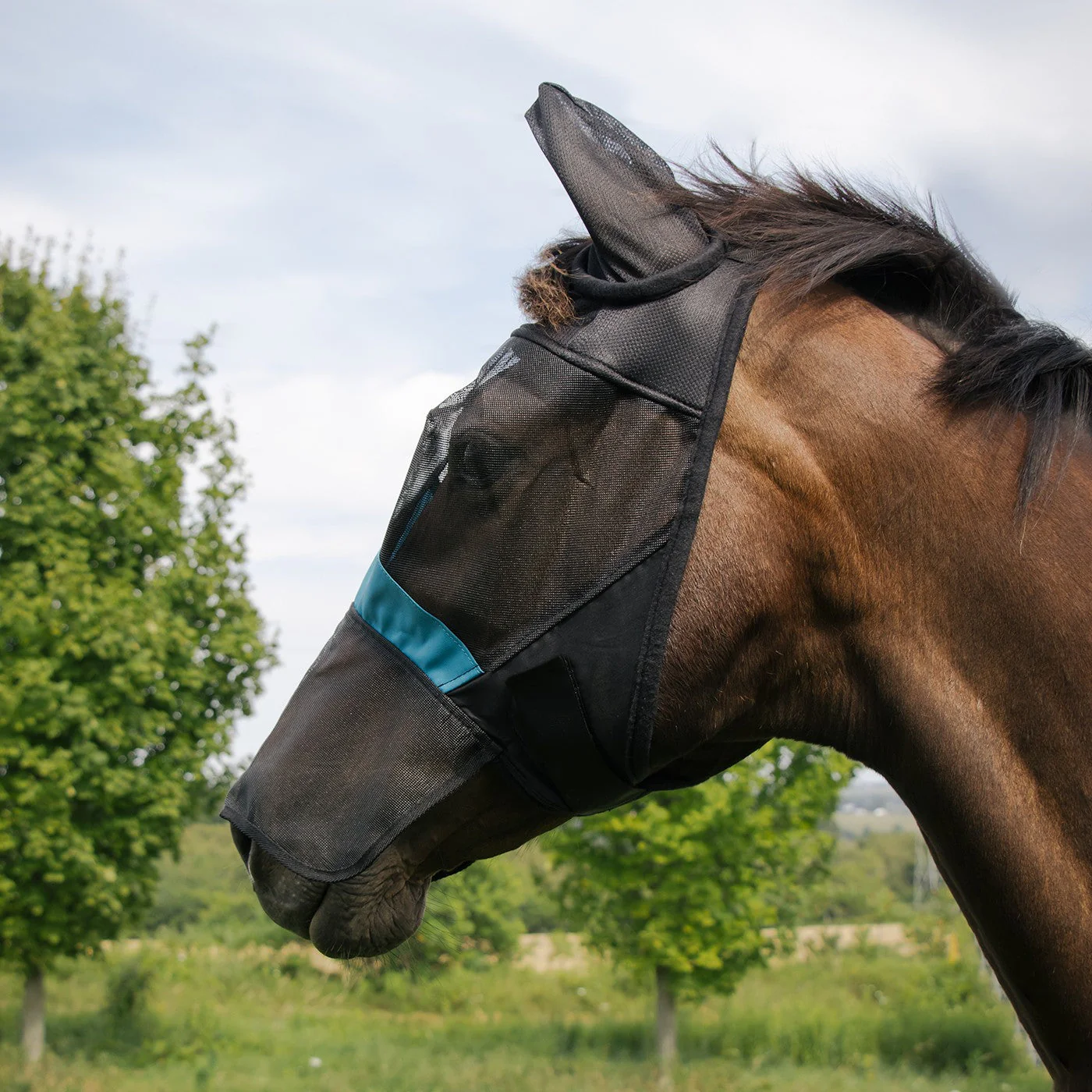 Shedrow Fly Mask W/ Ears & Nose Cover - Image 8