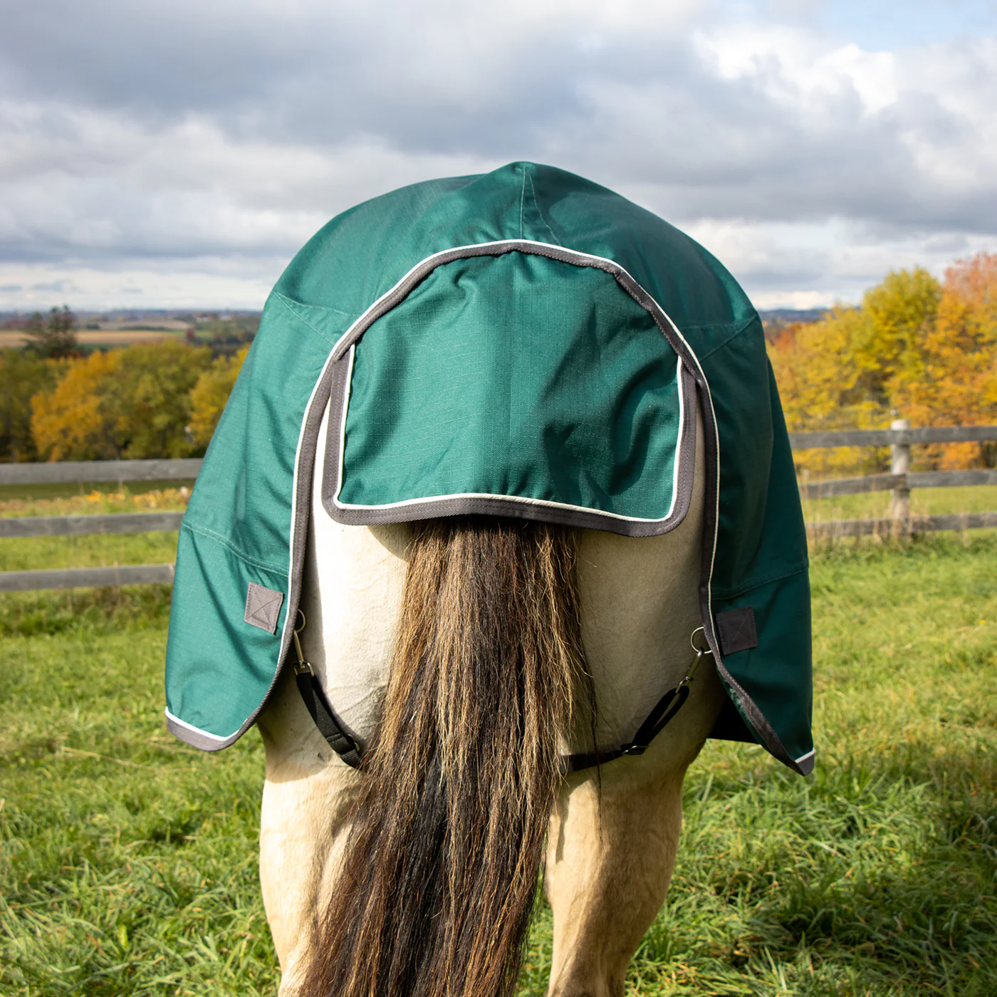 Shedrow Turnout Blanket W/ Hood 100 g - Image 6