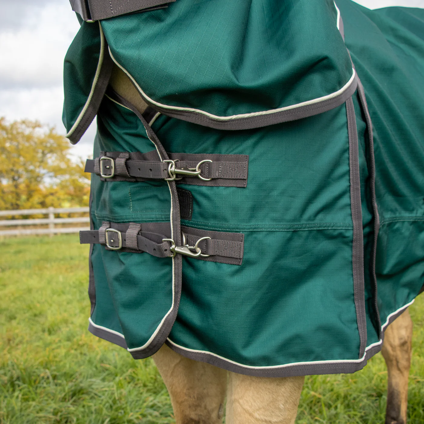 Shedrow Turnout Blanket W/ Hood 100 g - Image 8