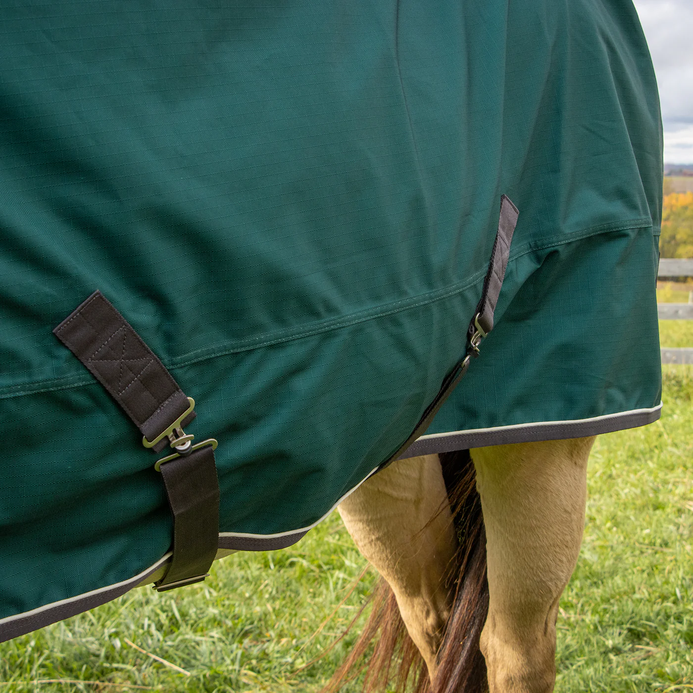Shedrow Turnout Blanket W/ Hood 100 g - Image 9