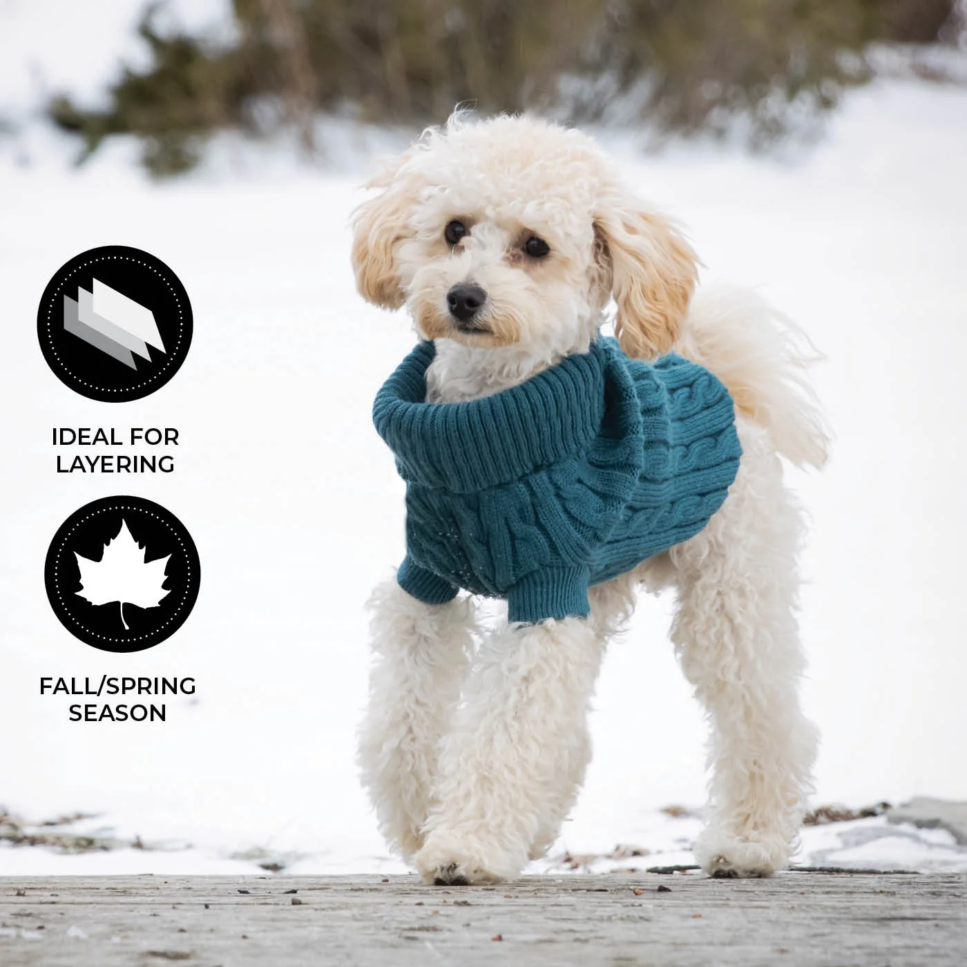 Shedrow K9 Brentwood Cable Knit Dog Sweater - Image 23