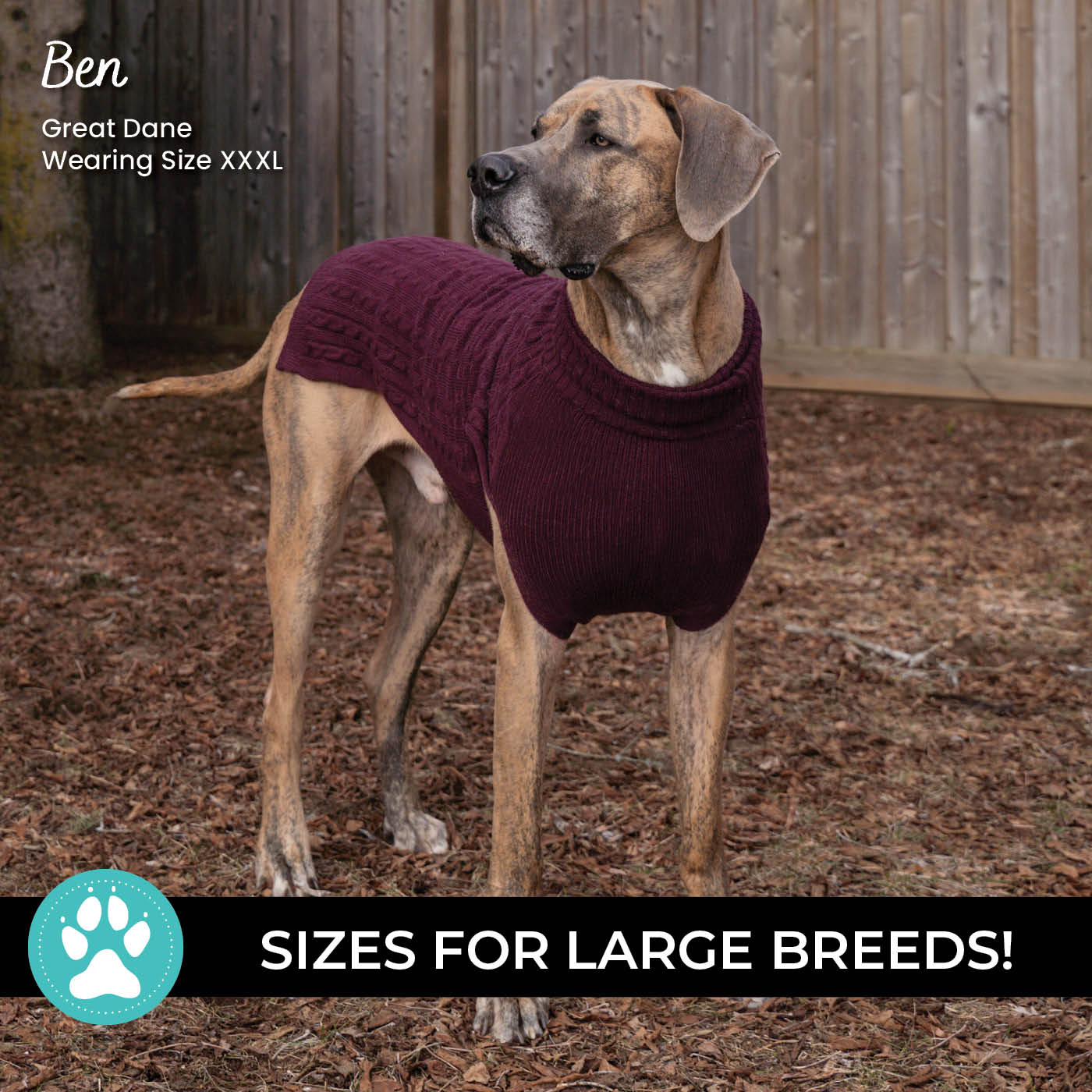 Shedrow K9 Brentwood Cable Knit Dog Sweater Plus - Image 15