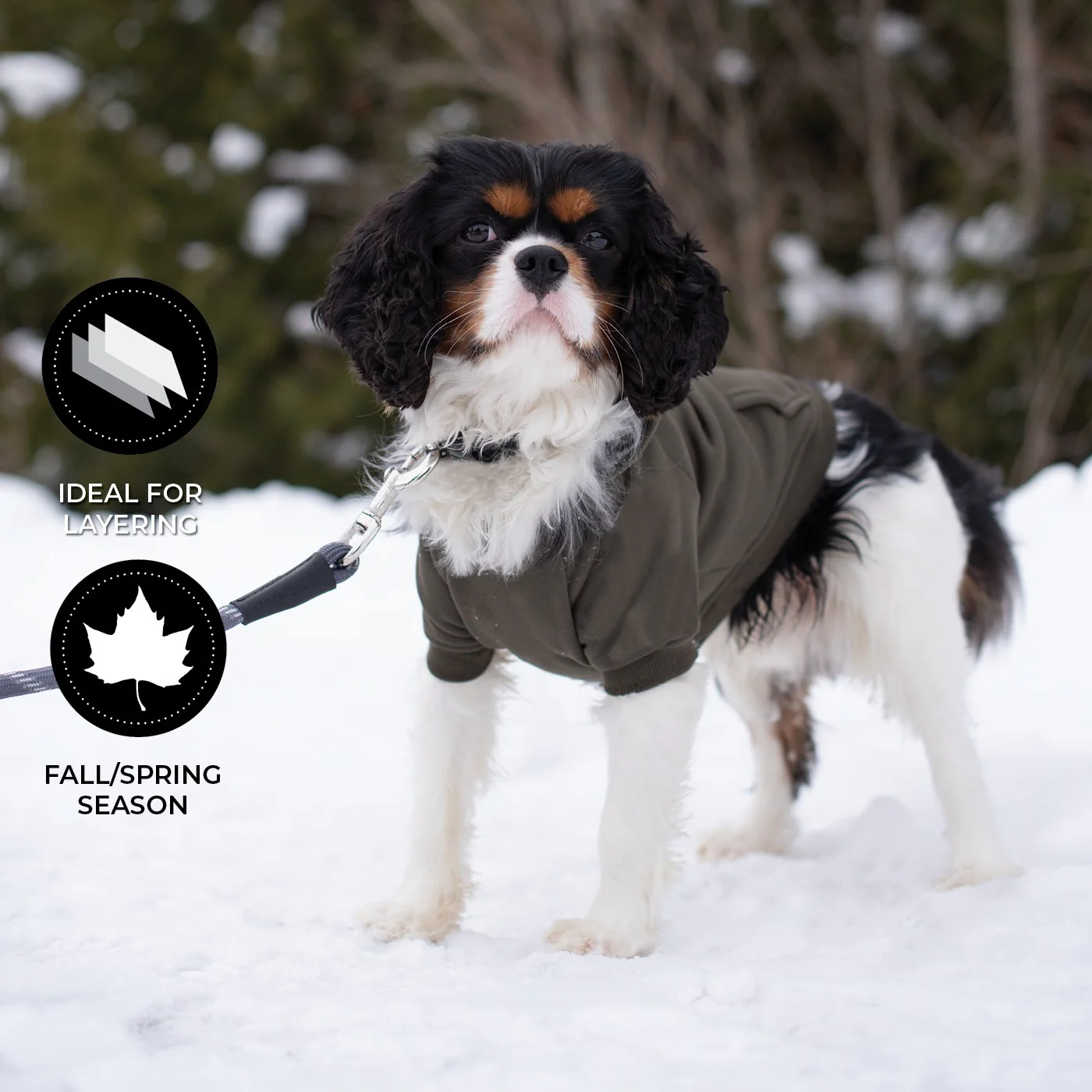 Shedrow K9 Brentwood Dog Hoodie - Image 12