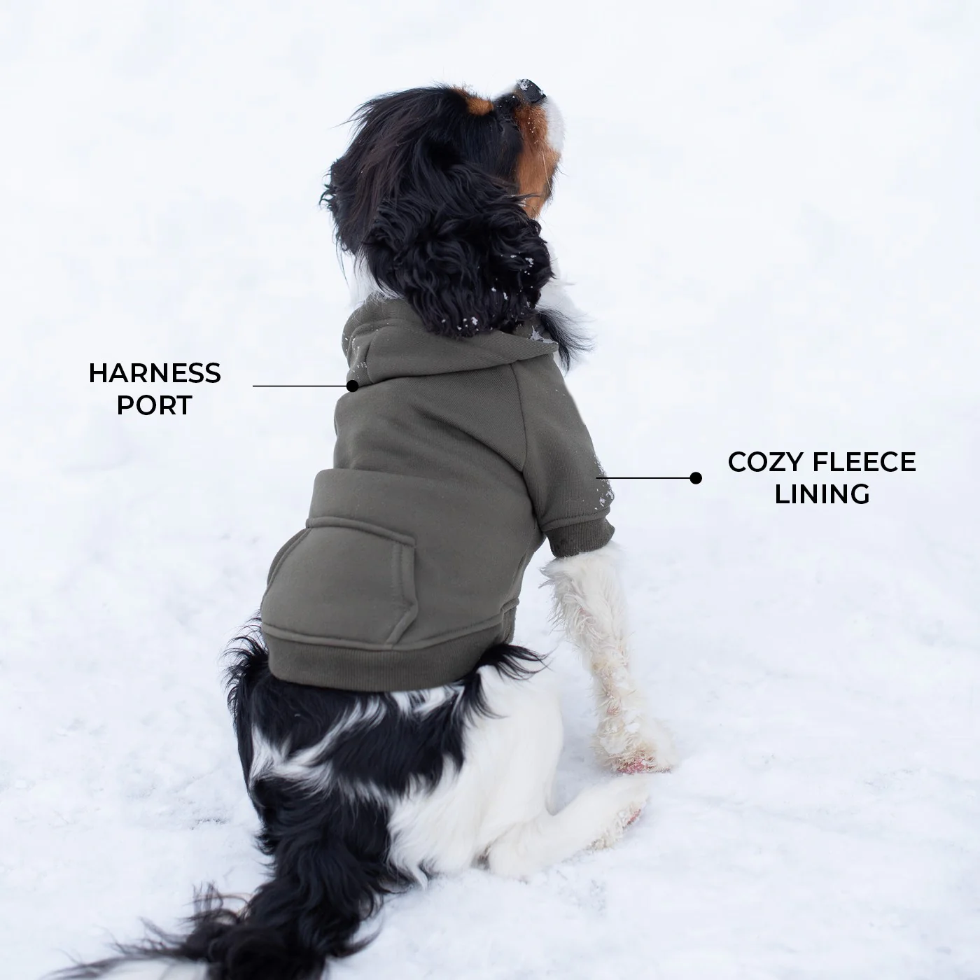 Shedrow K9 Brentwood Dog Hoodie - Image 13