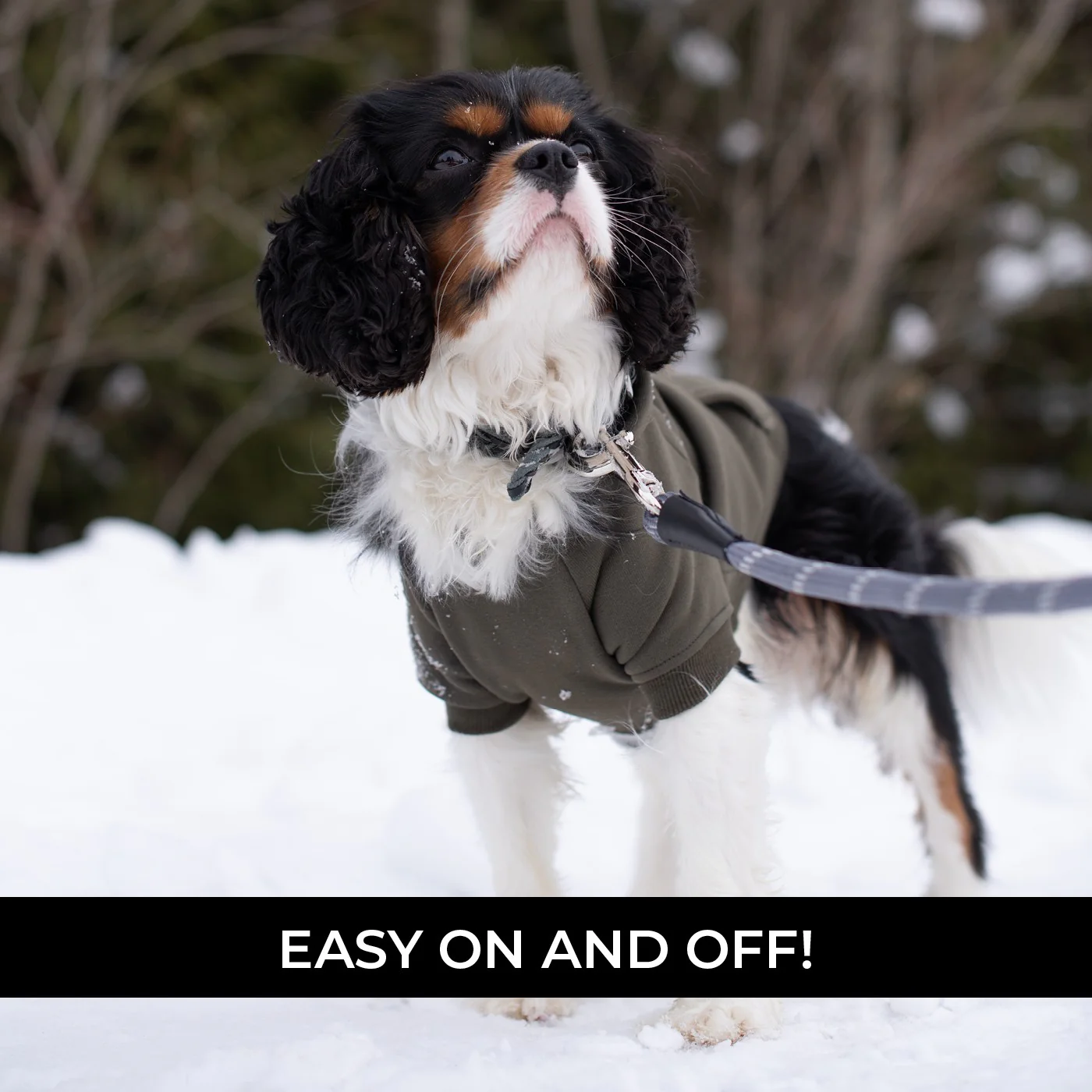 Shedrow K9 Brentwood Dog Hoodie - Image 14