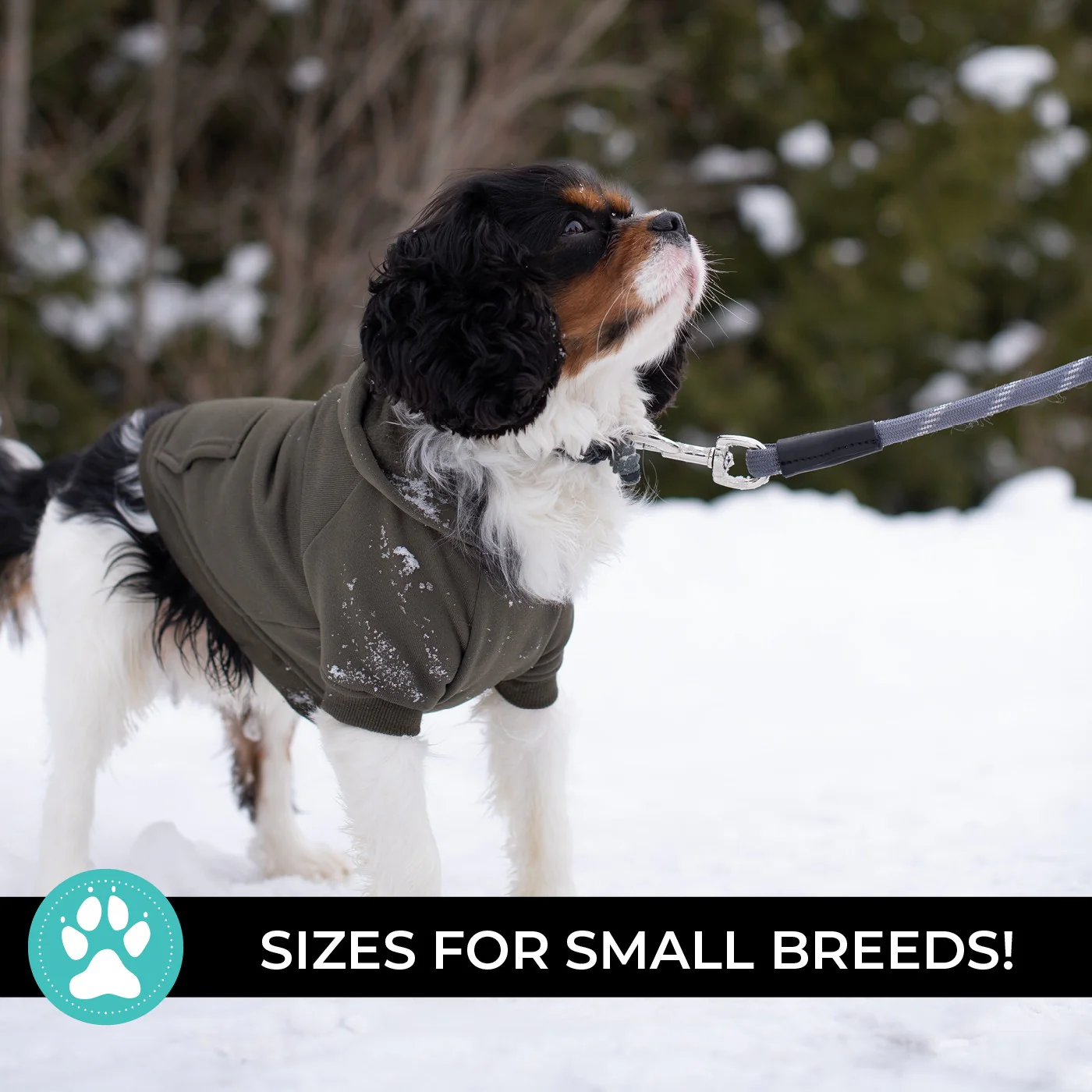Shedrow K9 Brentwood Dog Hoodie - Image 15