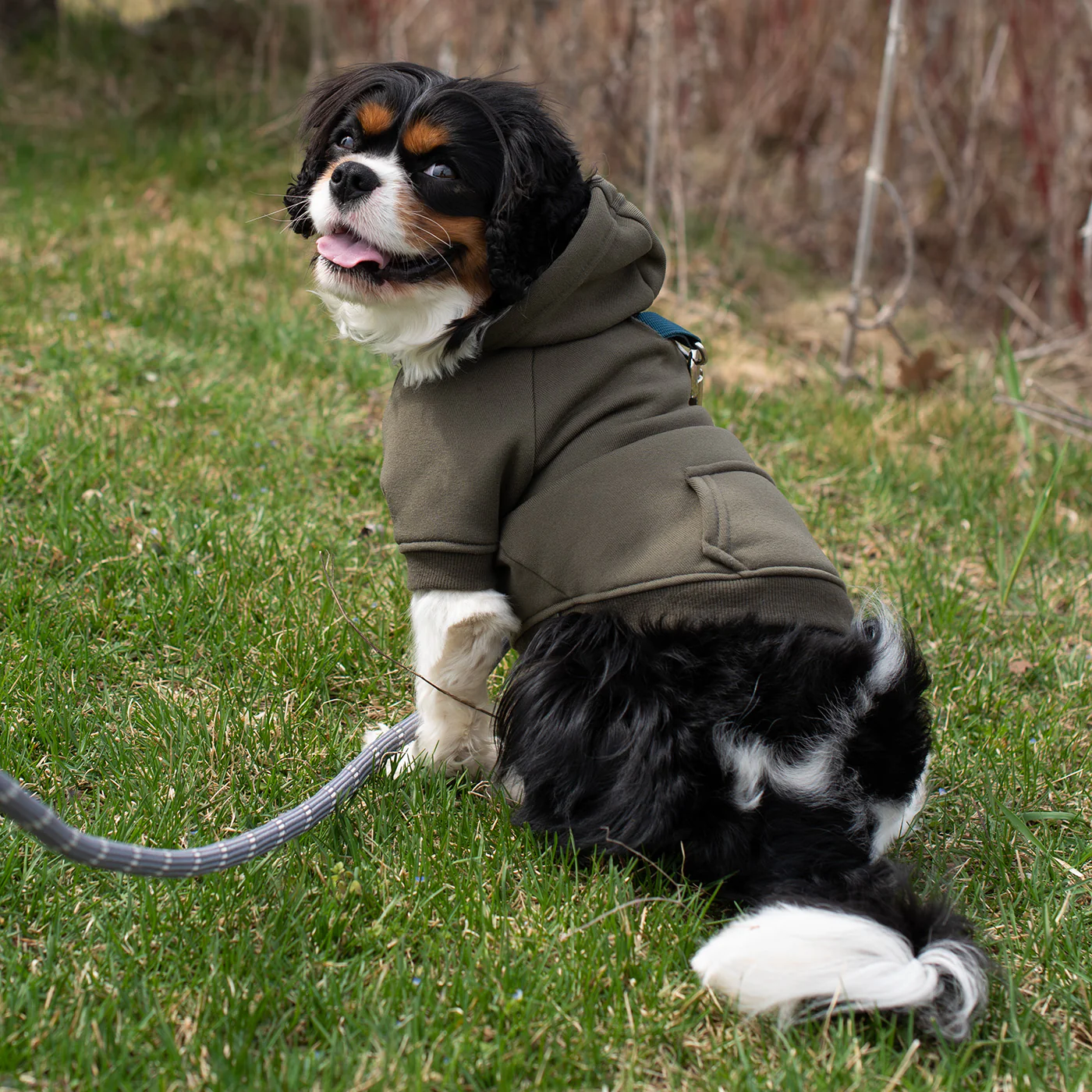 Shedrow K9 Brentwood Dog Hoodie - Image 17