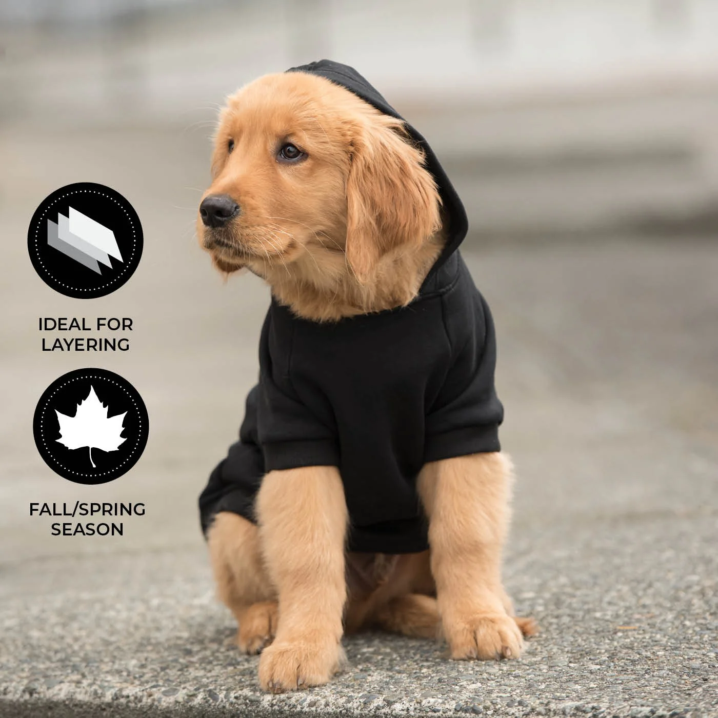 Shedrow K9 Brentwood Dog Hoodie - Image 7