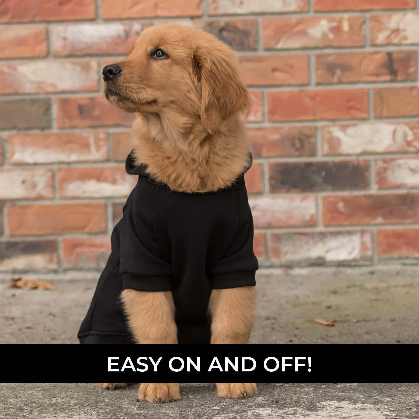 Shedrow K9 Brentwood Dog Hoodie - Image 8