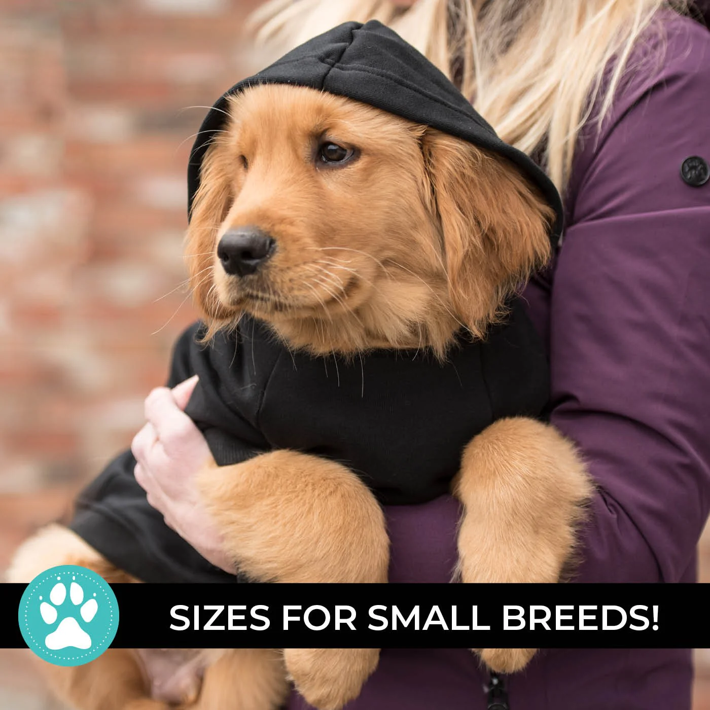 Shedrow K9 Brentwood Dog Hoodie - Image 9