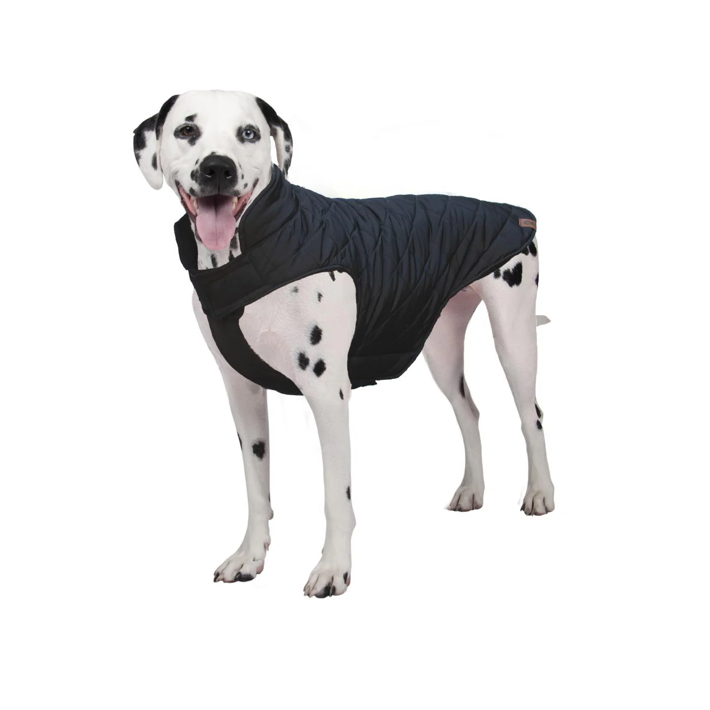 Shedrow K9 Brentwood Quilted Dog Coat
