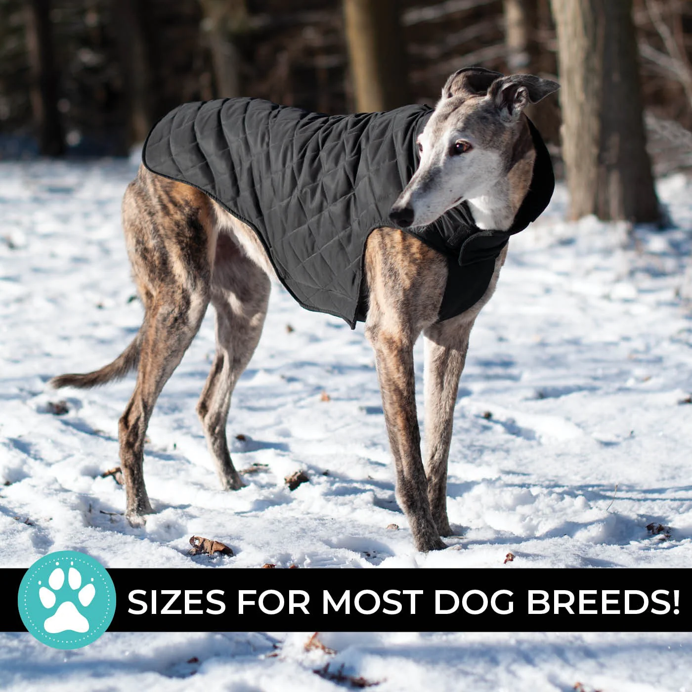 Shedrow K9 Brentwood Quilted Dog Coat - Image 2