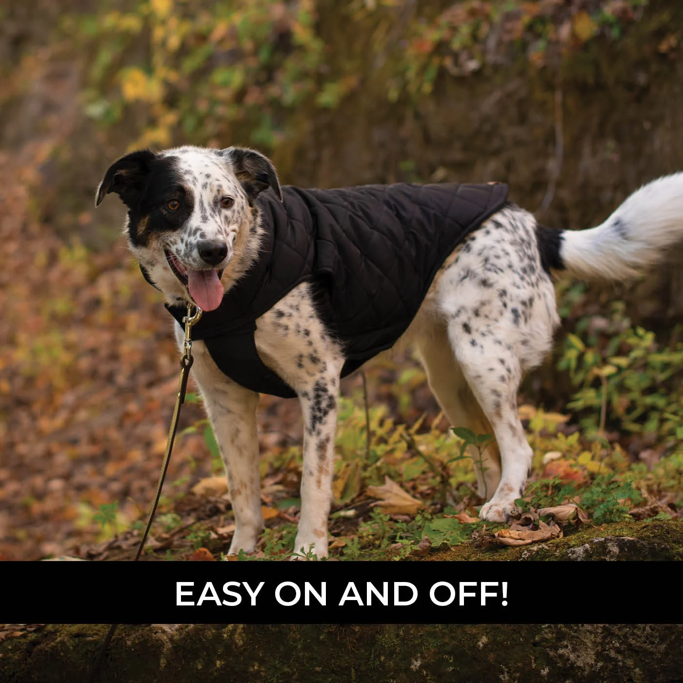 Shedrow K9 Brentwood Quilted Dog Coat - Image 3
