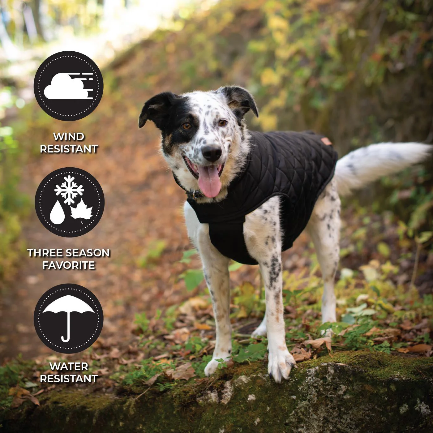 Shedrow K9 Brentwood Quilted Dog Coat - Image 5