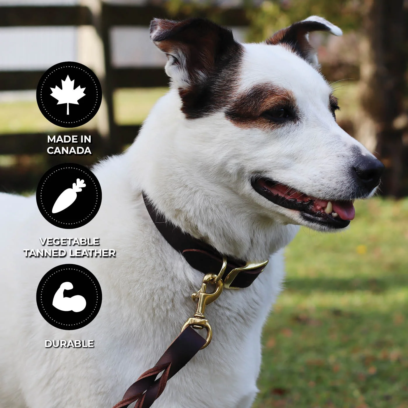 Shedrow K9 Bristol II Flat Leather Collar - Image 3