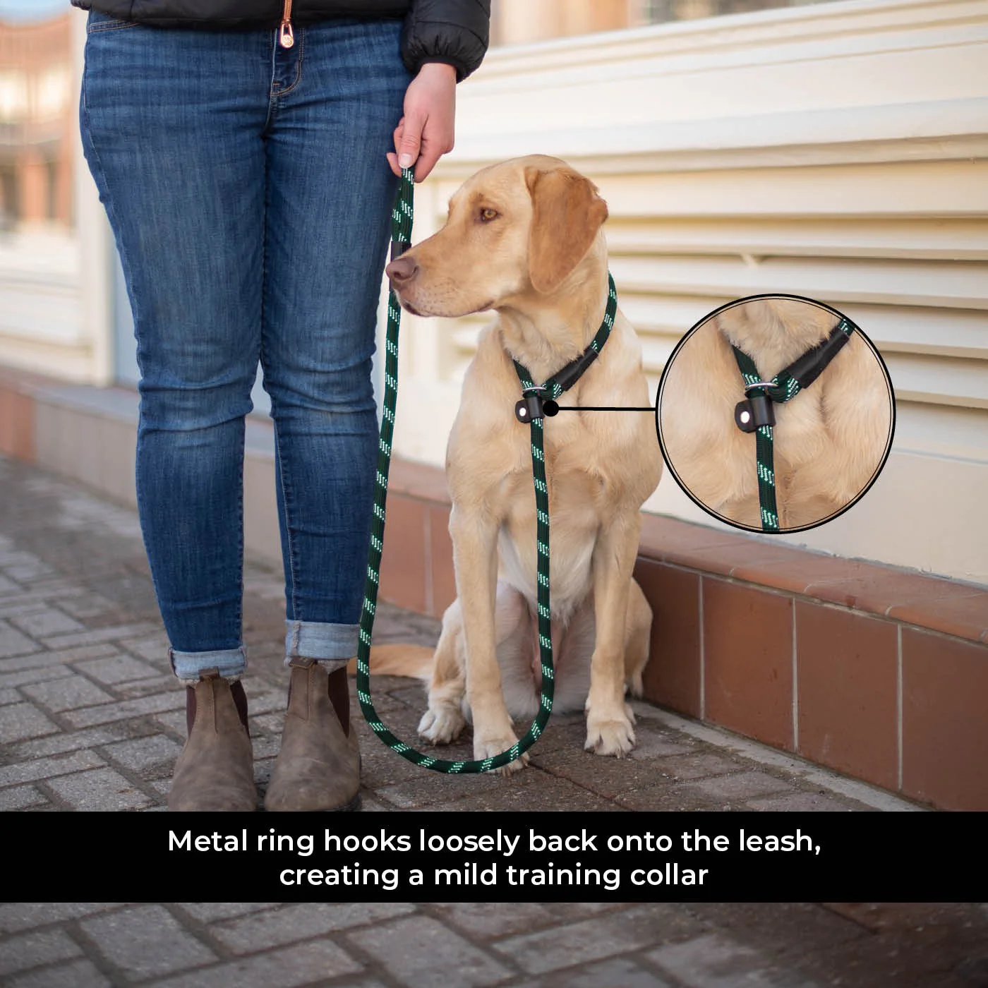 Shedrow K9 Camino Rope Slip Leash - Image 10