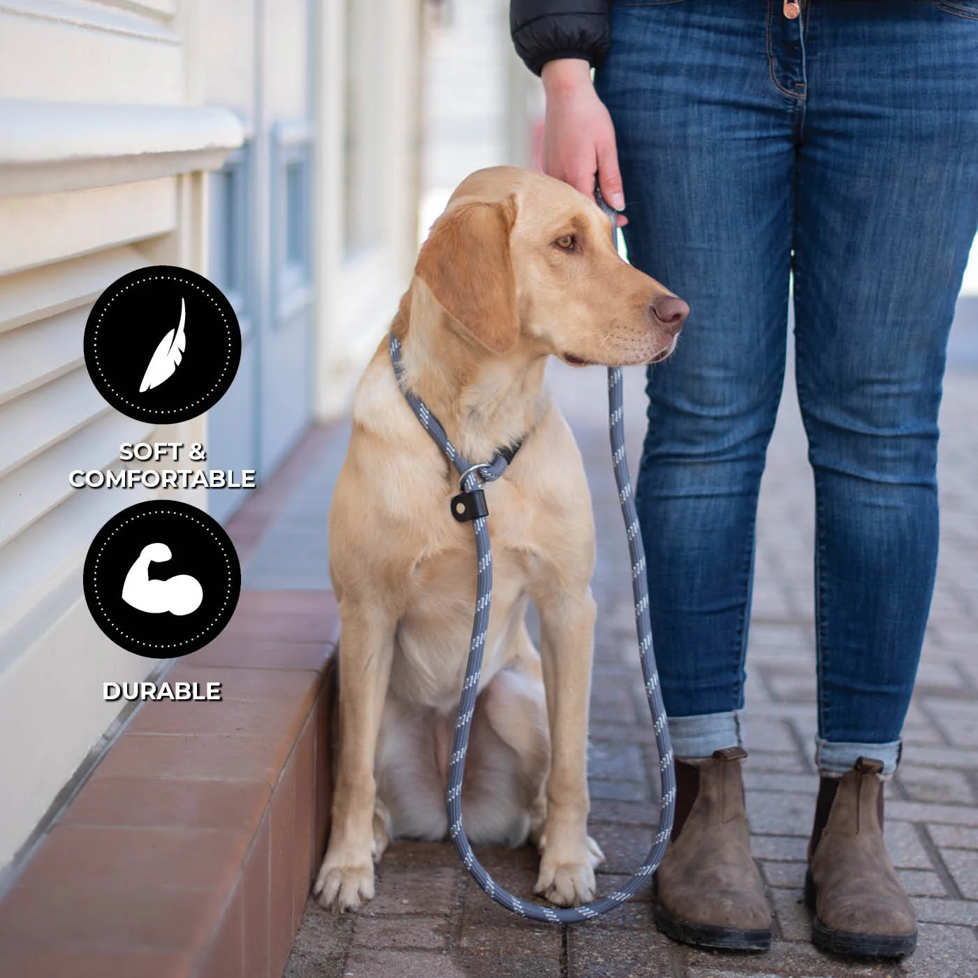 Shedrow K9 Camino Rope Slip Leash - Image 24