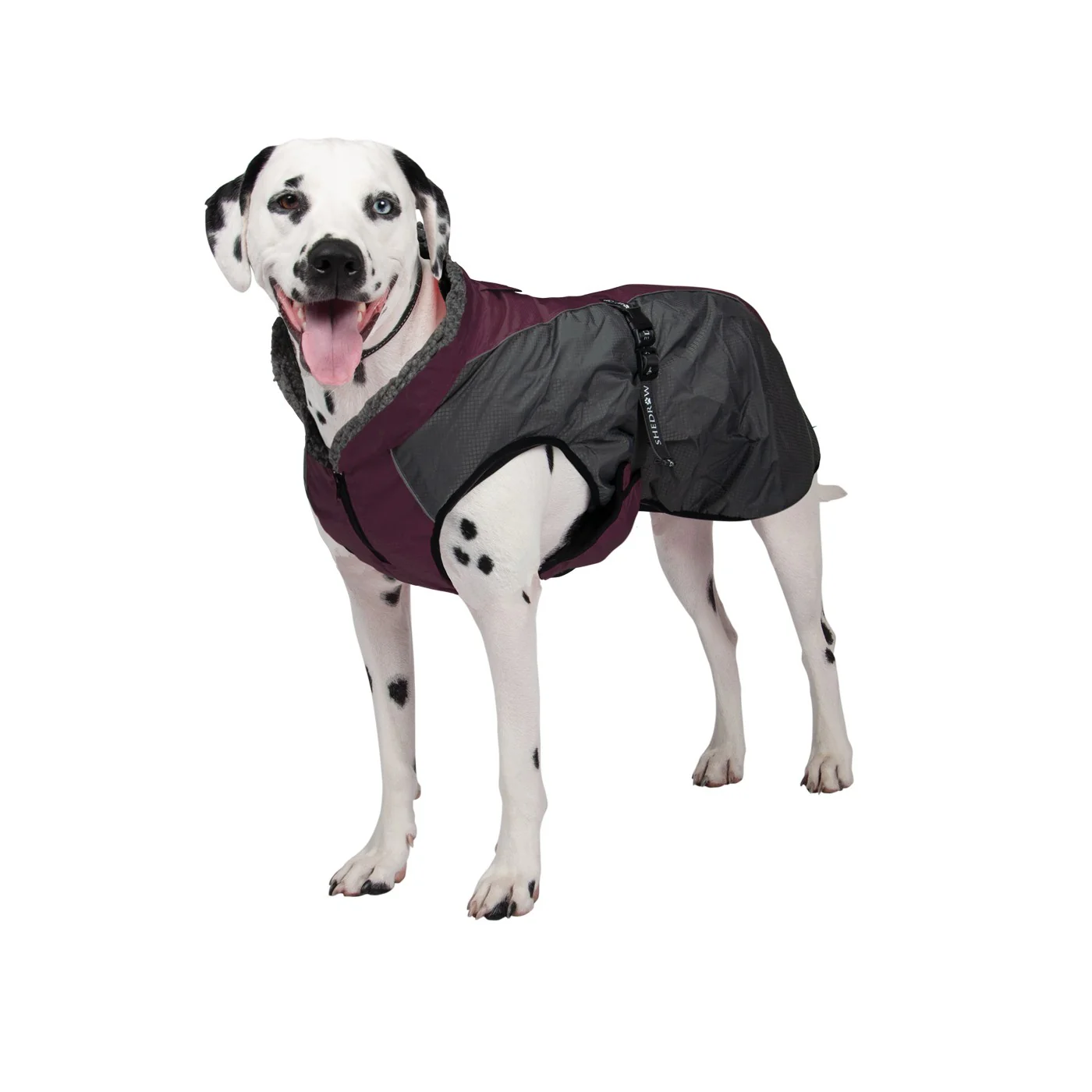 Shedrow K9 Chinook Dog Coat - Image 13