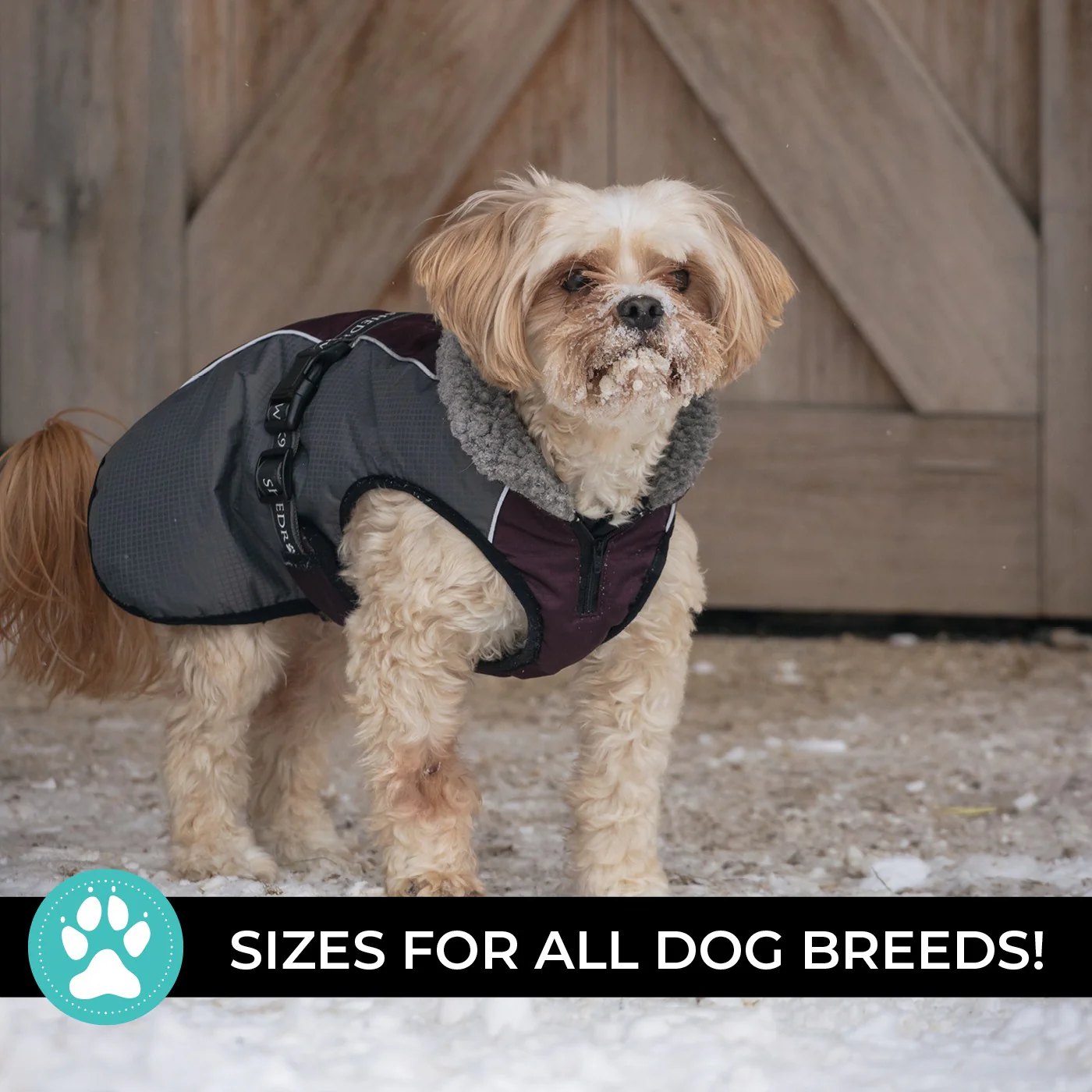 Shedrow K9 Chinook Dog Coat - Image 15