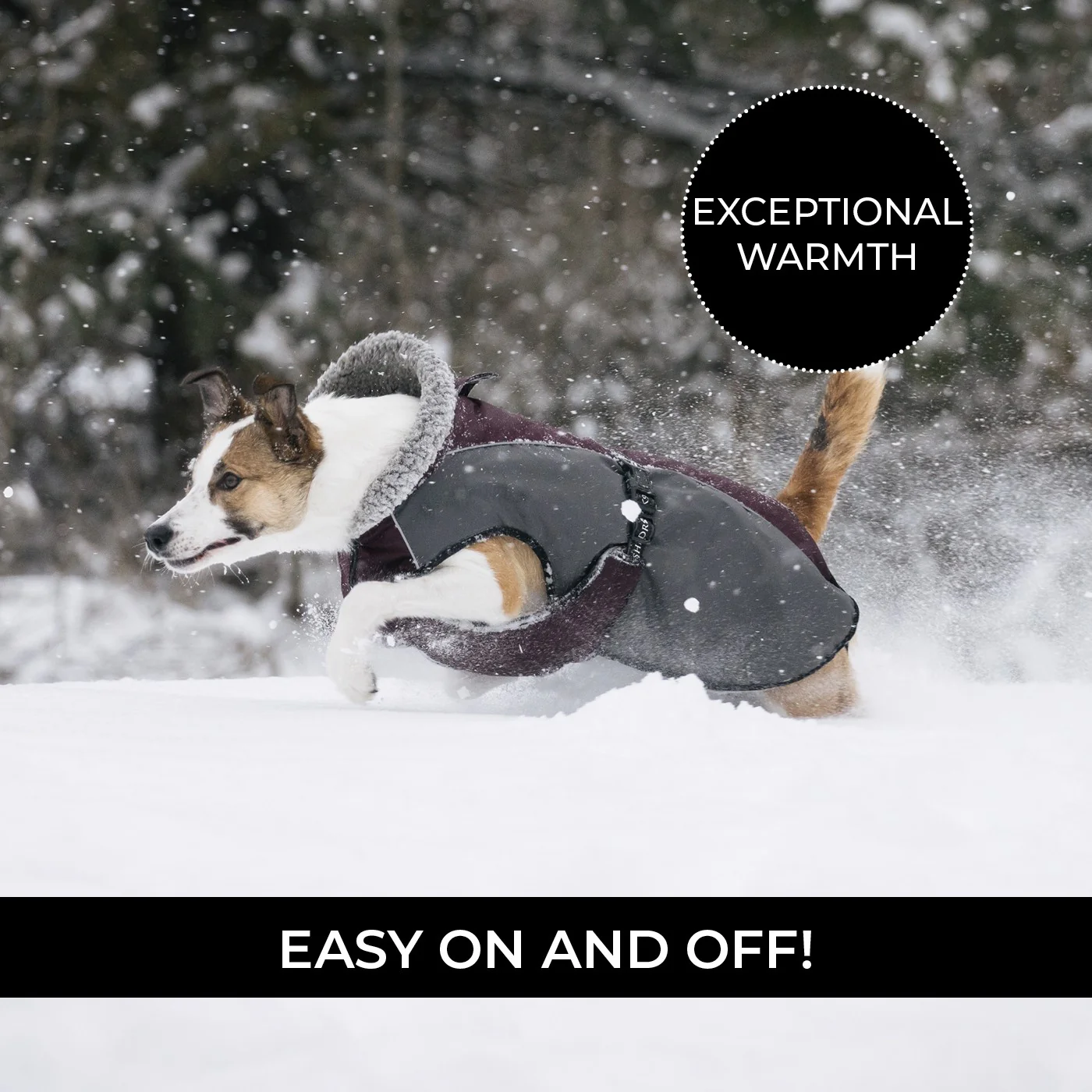Shedrow K9 Chinook Dog Coat - Image 16