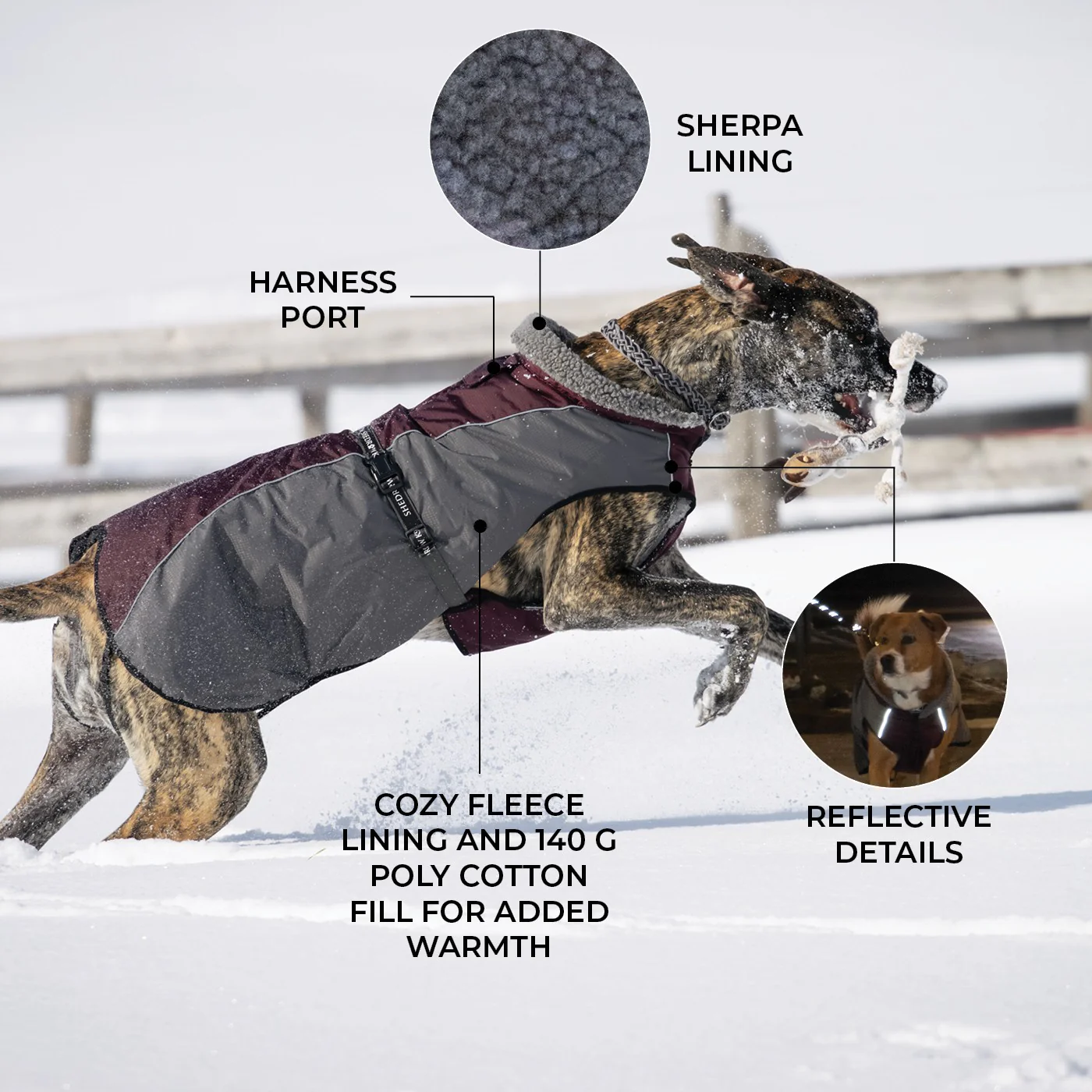 Shedrow K9 Chinook Dog Coat - Image 18