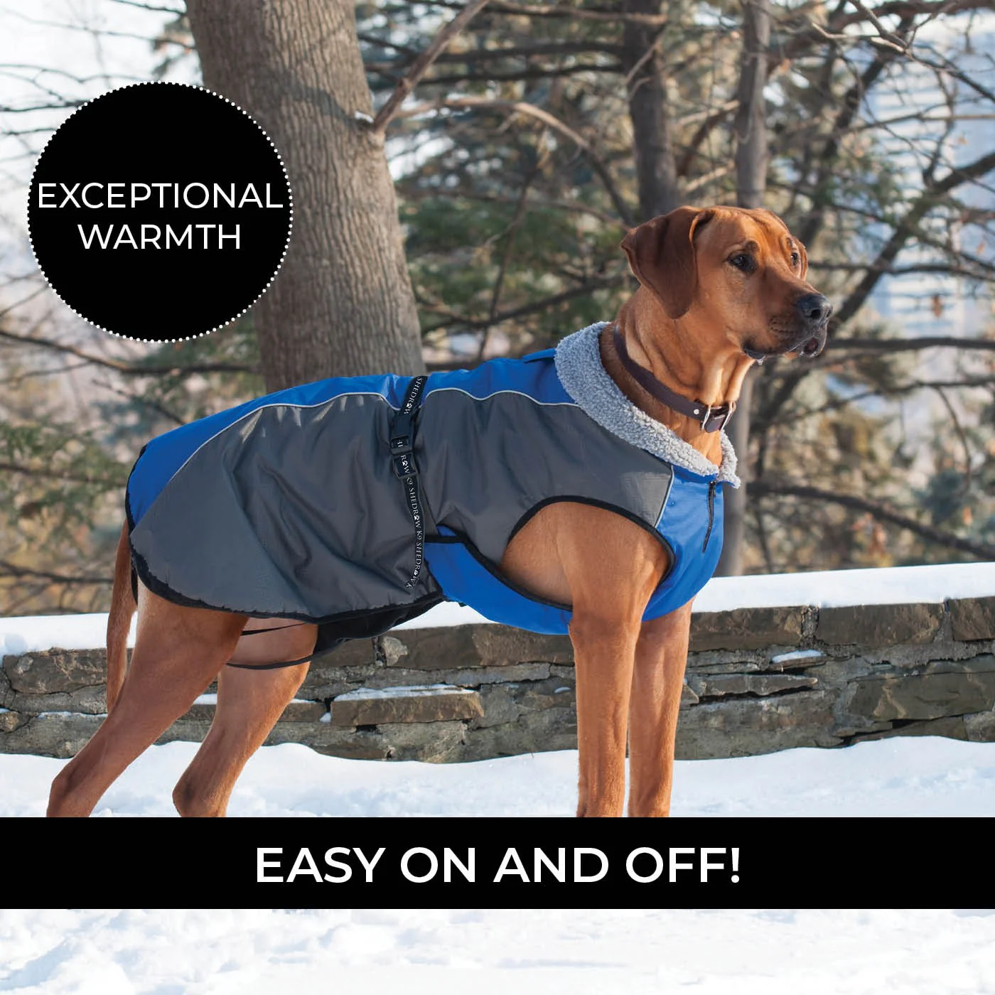 Shedrow K9 Chinook Dog Coat - Image 4