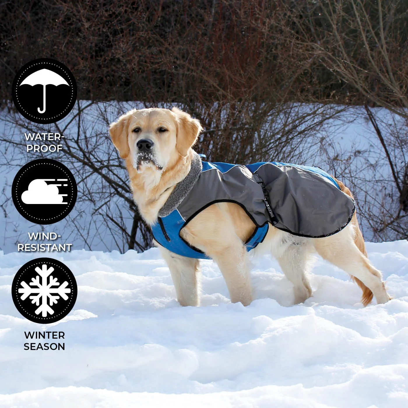 Shedrow K9 Chinook Dog Coat - Image 5