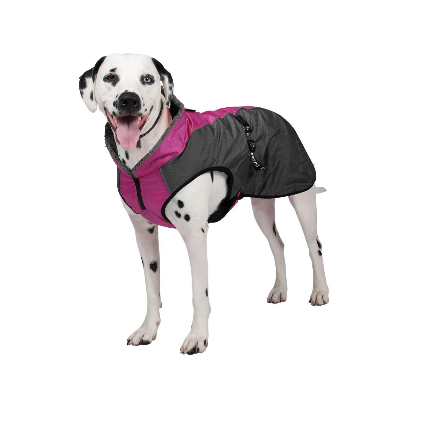 Shedrow K9 Chinook Dog Coat - Image 19