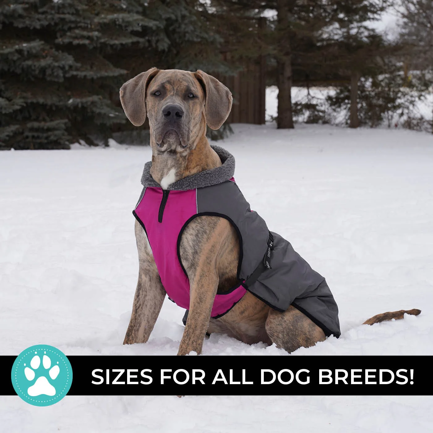 Shedrow K9 Chinook Dog Coat - Image 21