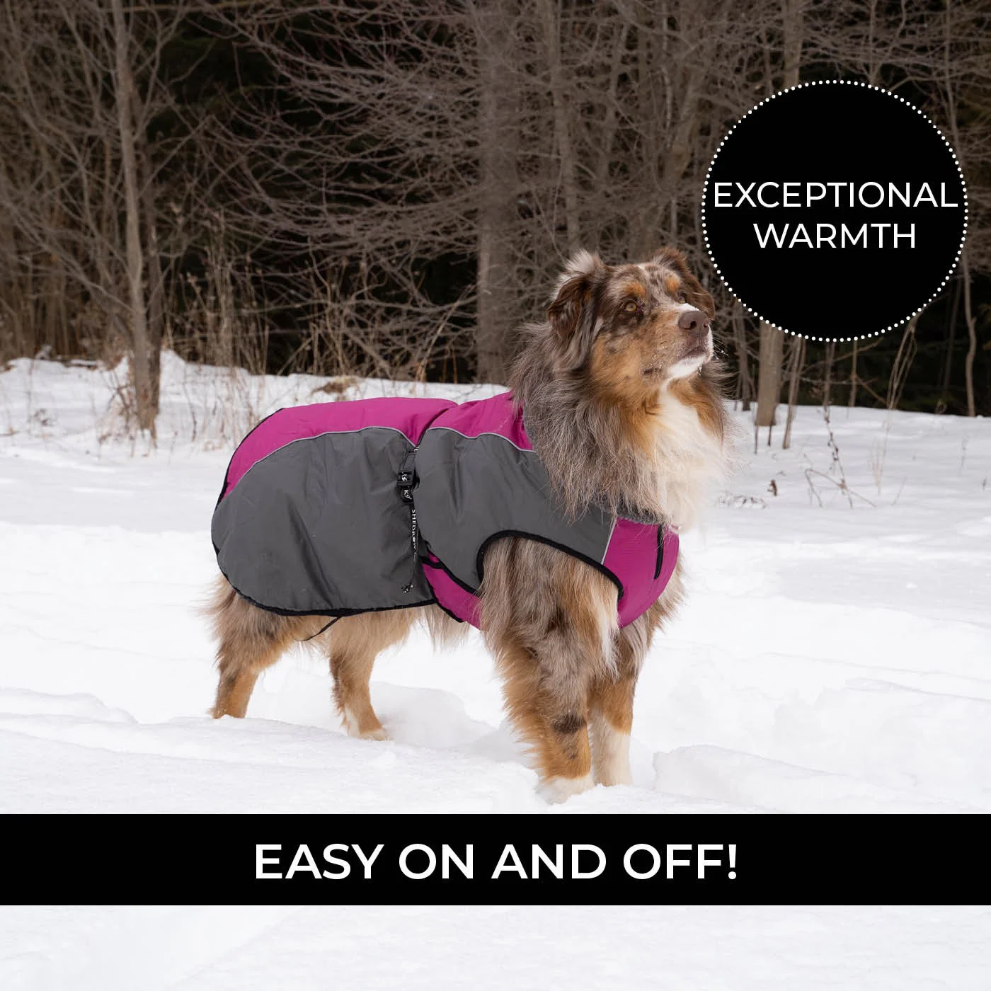 Shedrow K9 Chinook Dog Coat - Image 22