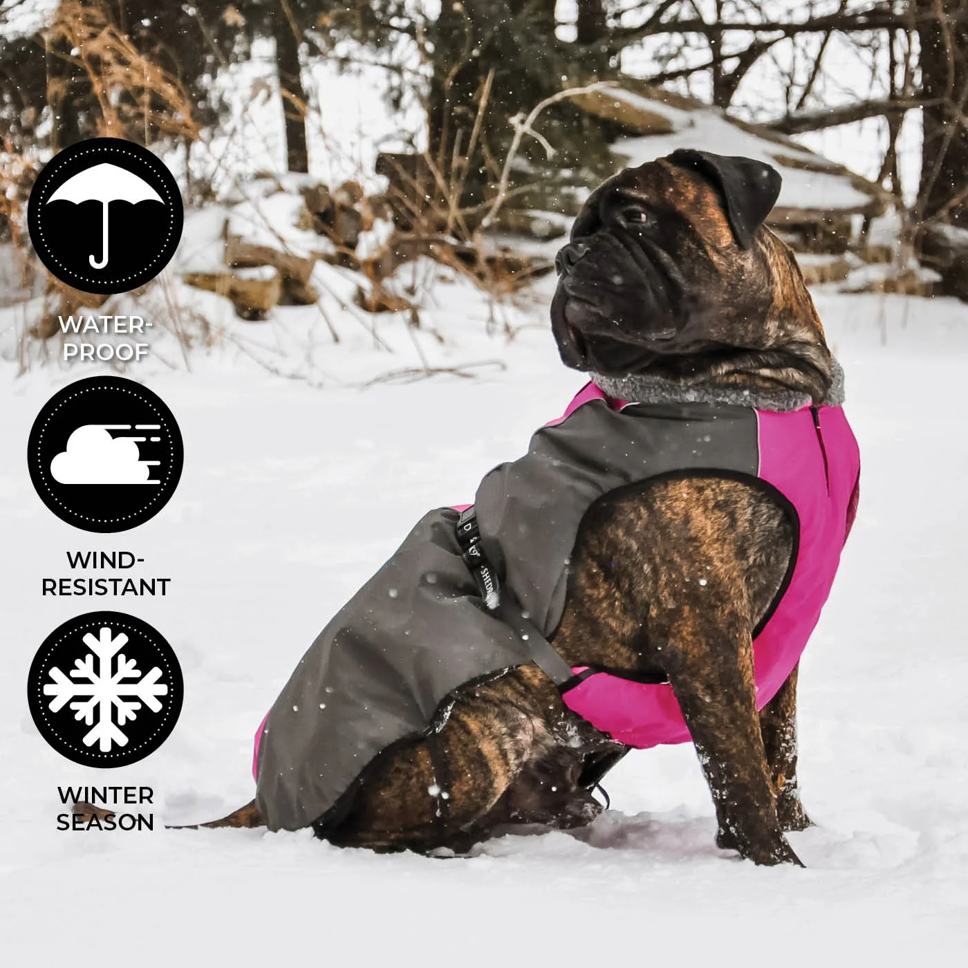 Shedrow K9 Chinook Dog Coat - Image 23