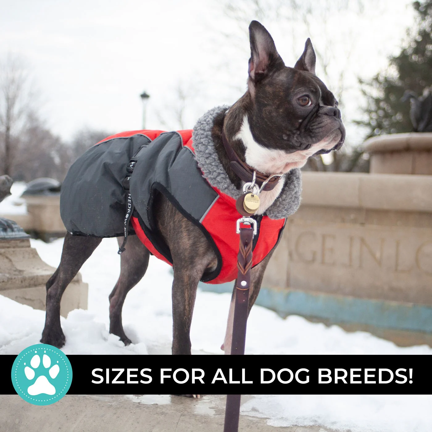 Shedrow K9 Chinook Dog Coat - Image 32