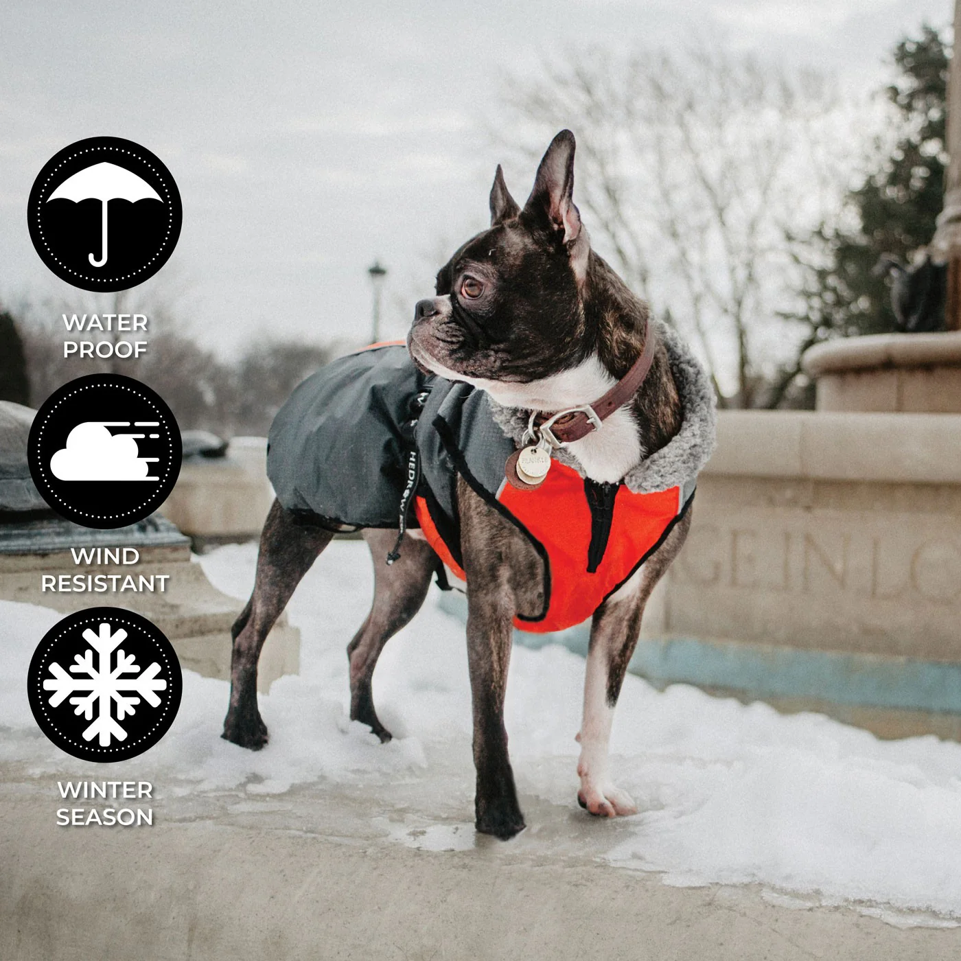Shedrow K9 Chinook Dog Coat - Image 34