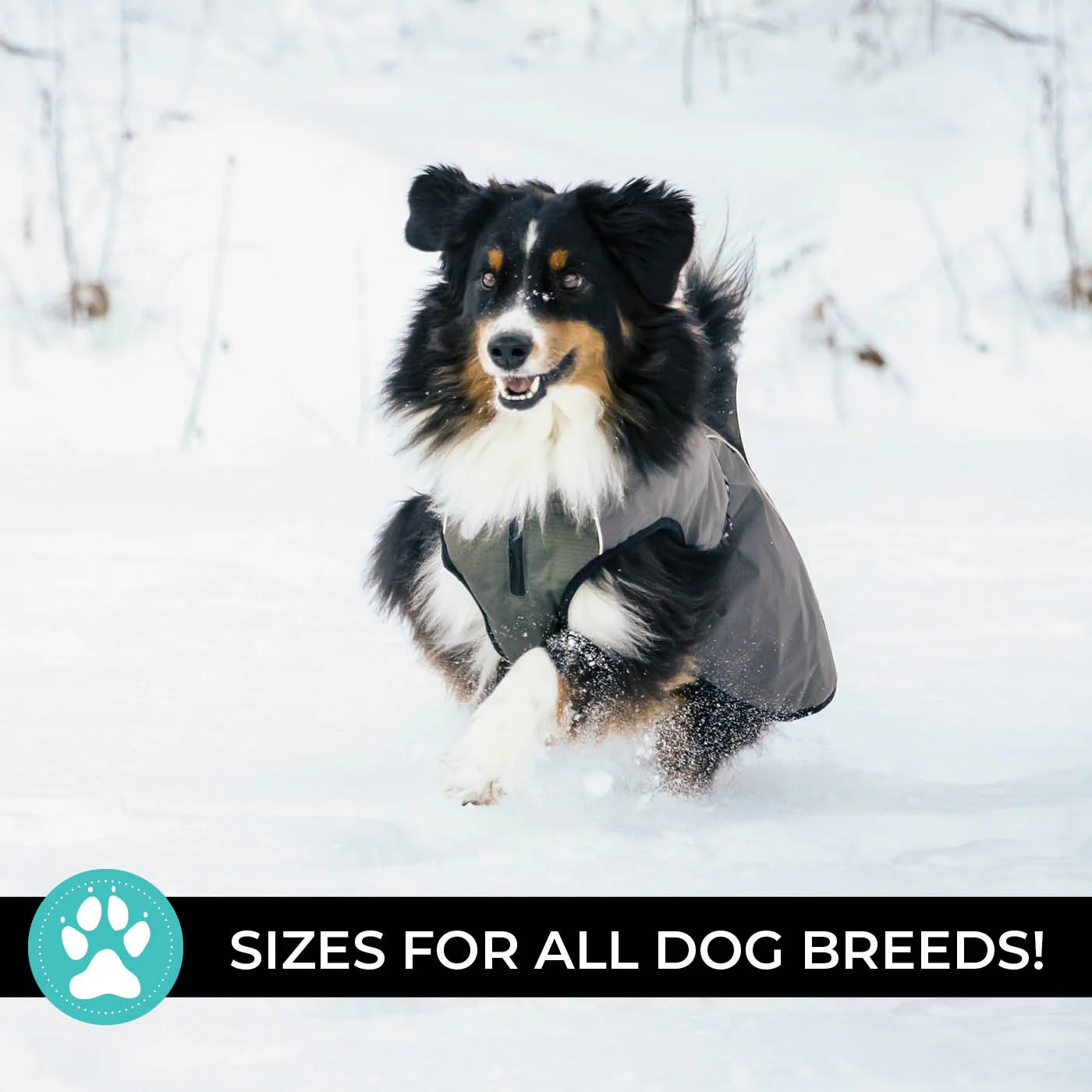 Shedrow K9 Chinook Dog Coat - Image 9