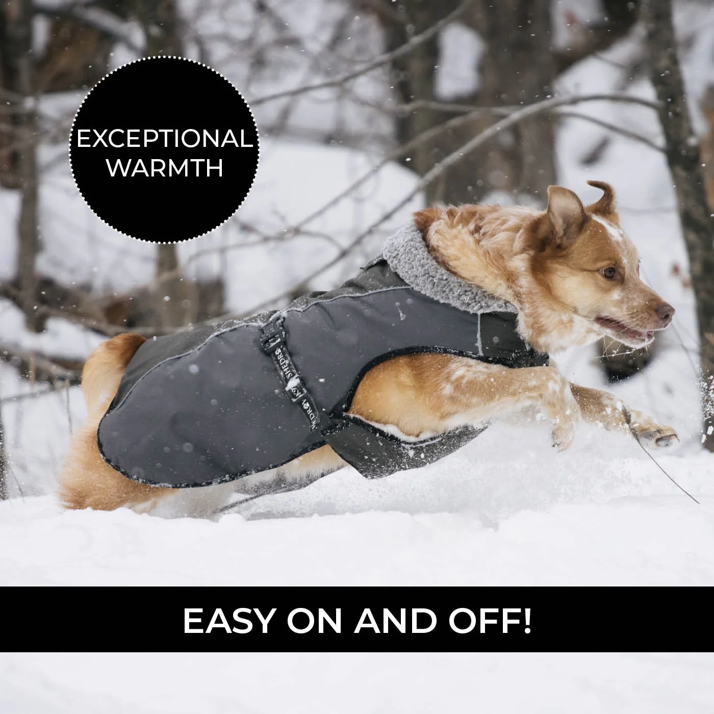 Shedrow K9 Chinook Dog Coat - Image 10