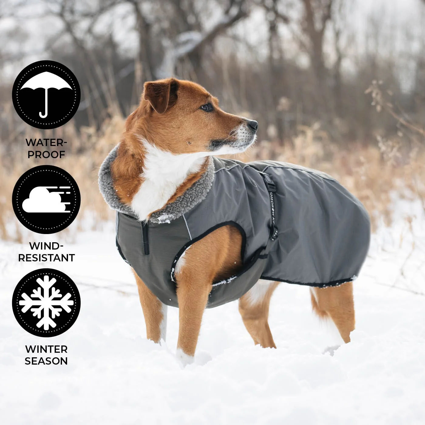 Shedrow K9 Chinook Dog Coat - Image 11