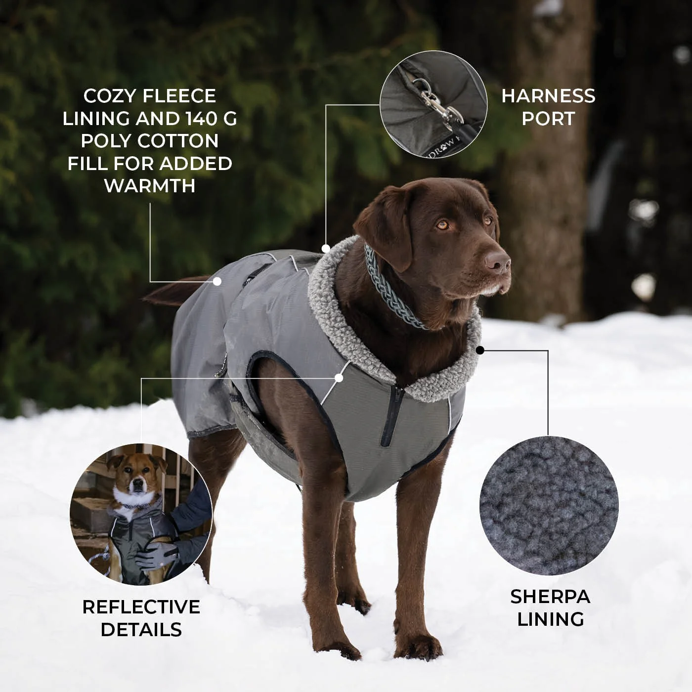 Shedrow K9 Chinook Dog Coat - Image 12