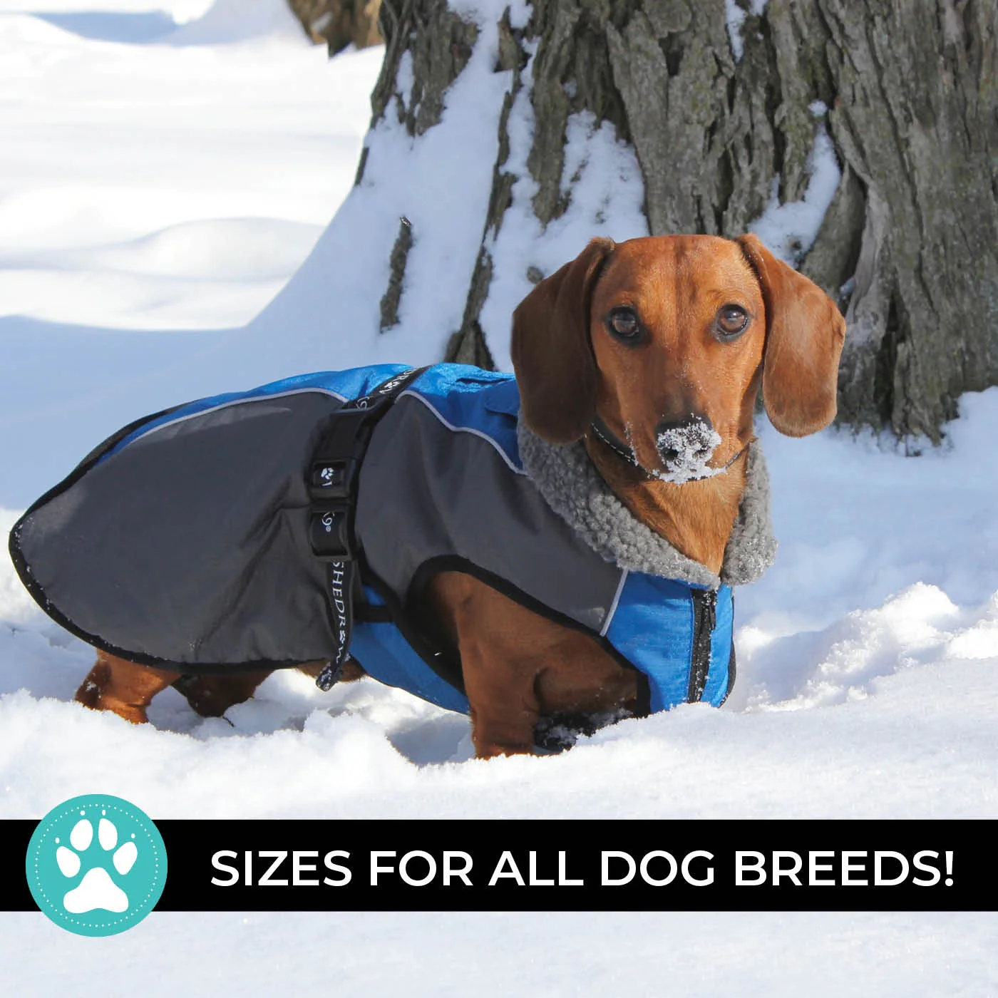 Shedrow K9 Chinook Dog Coat - Image 3