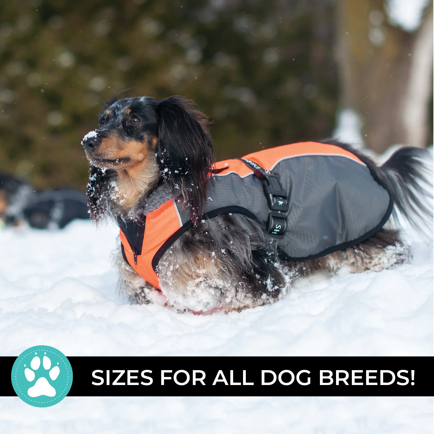 Shedrow K9 Chinook Dog Coat - Image 27