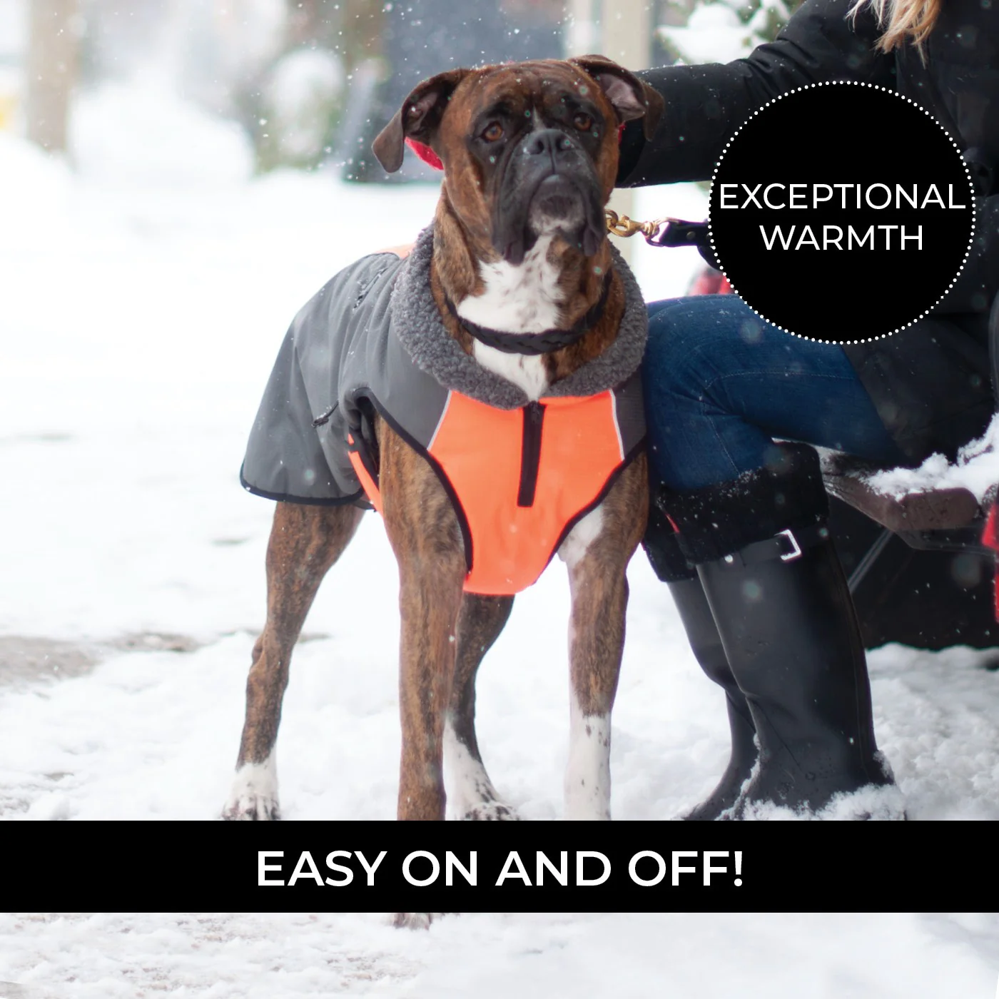 Shedrow K9 Chinook Dog Coat - Image 28