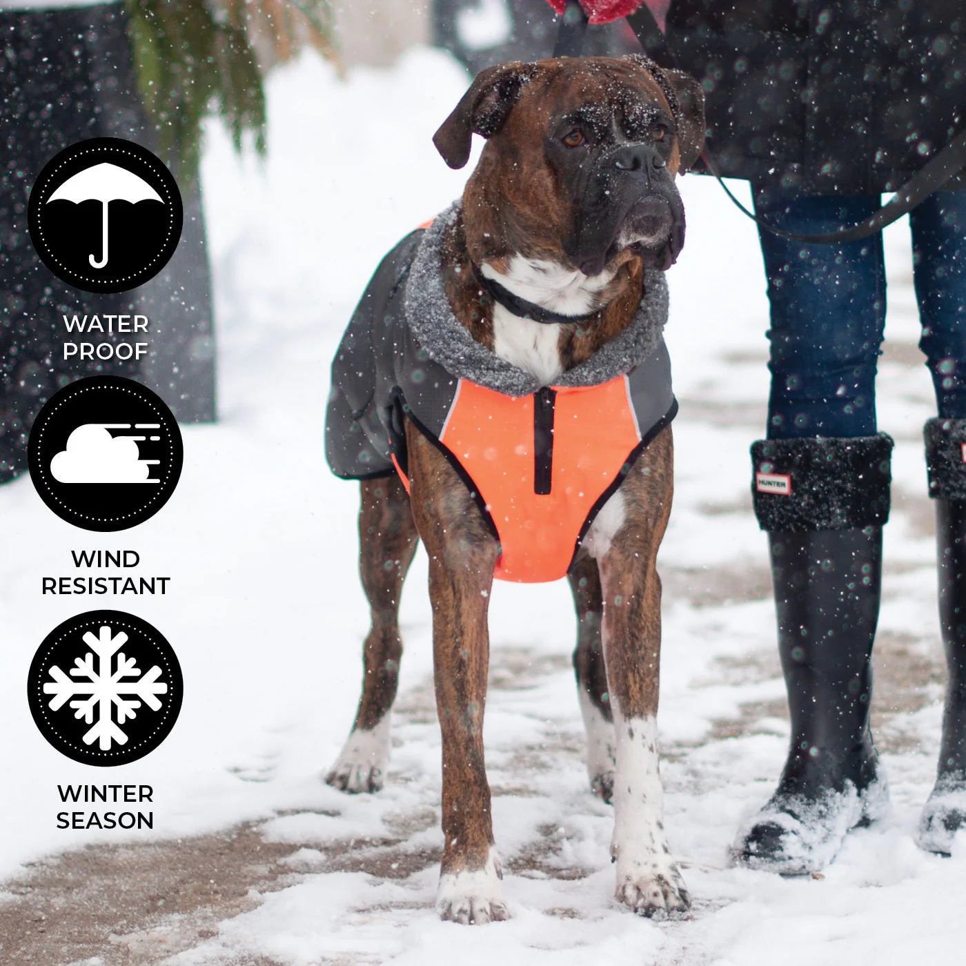 Shedrow K9 Chinook Dog Coat - Image 29